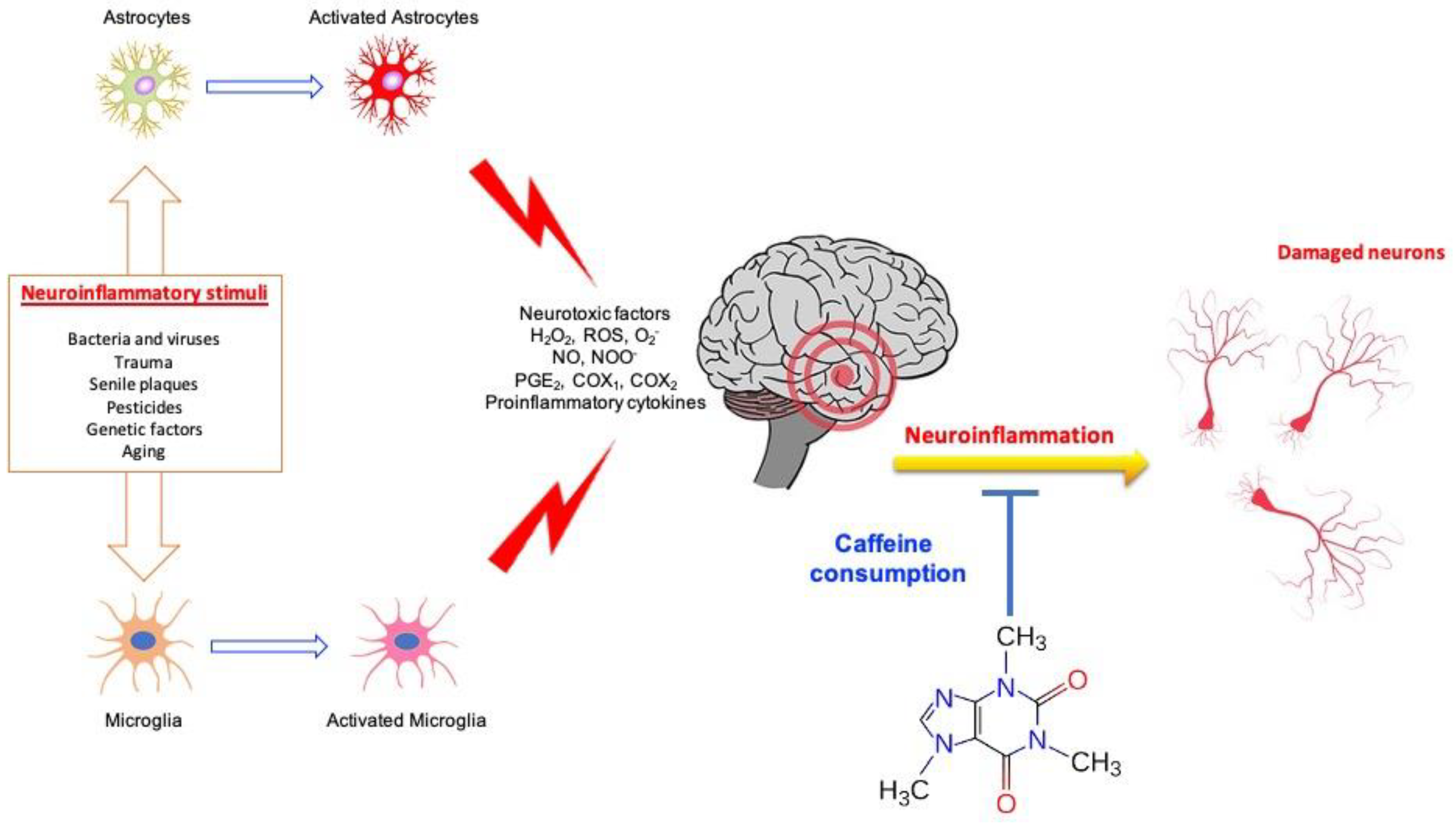 Ijms 23 12958 g002 Ijms 23 12958 g002
