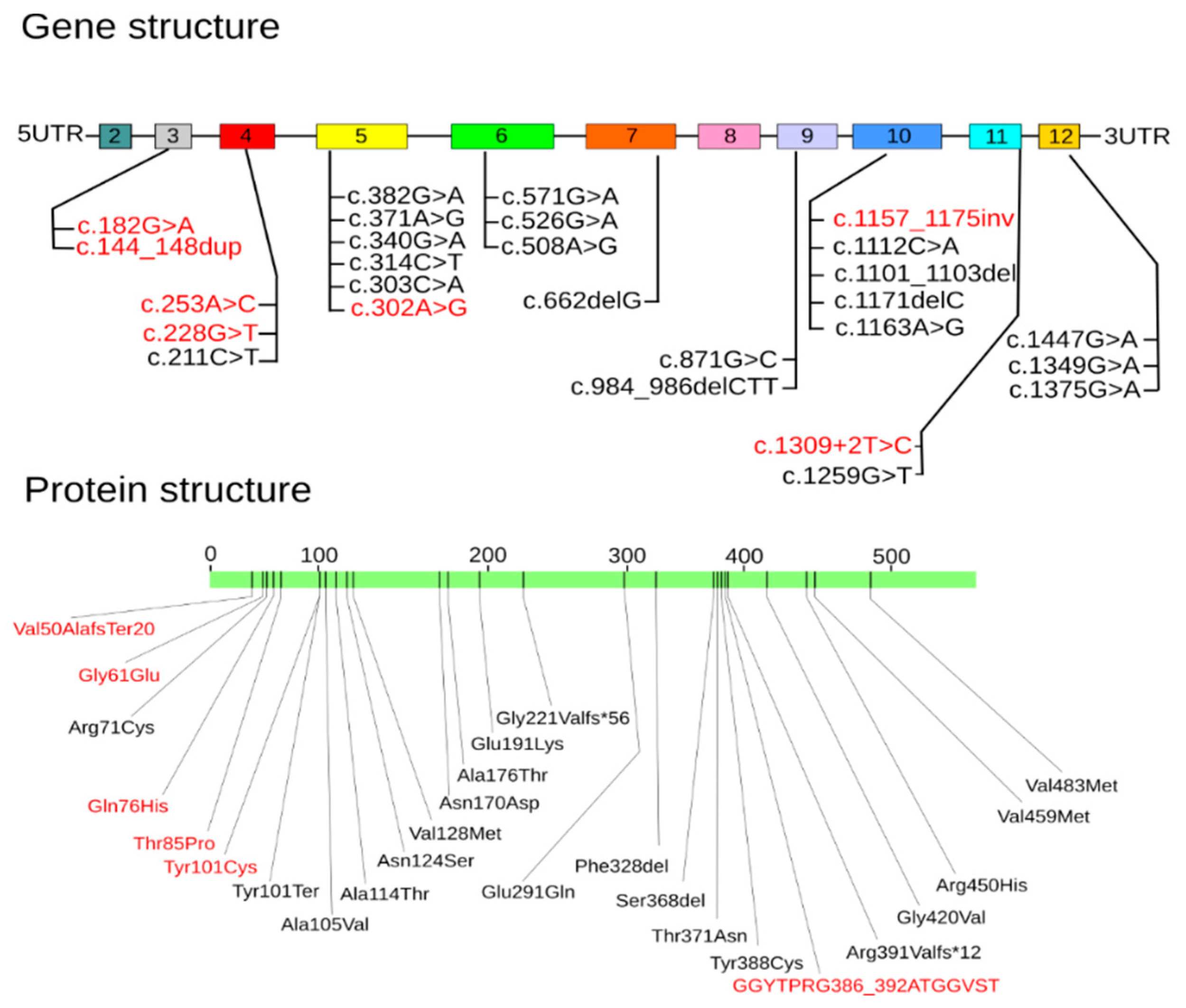 Ijms 23 12976 g006 Ijms 23 12976 g006