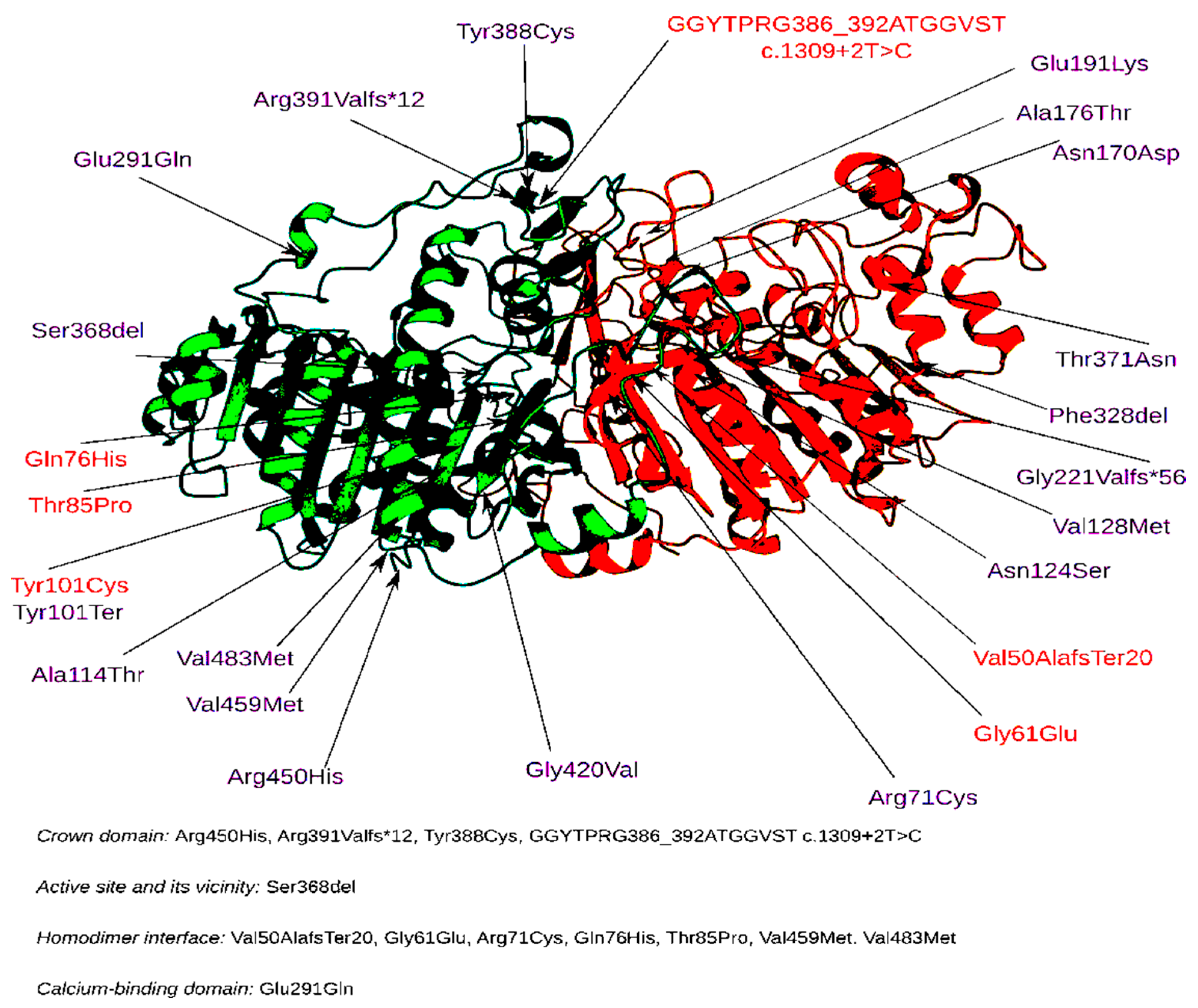 Ijms 23 12976 g007 Ijms 23 12976 g007