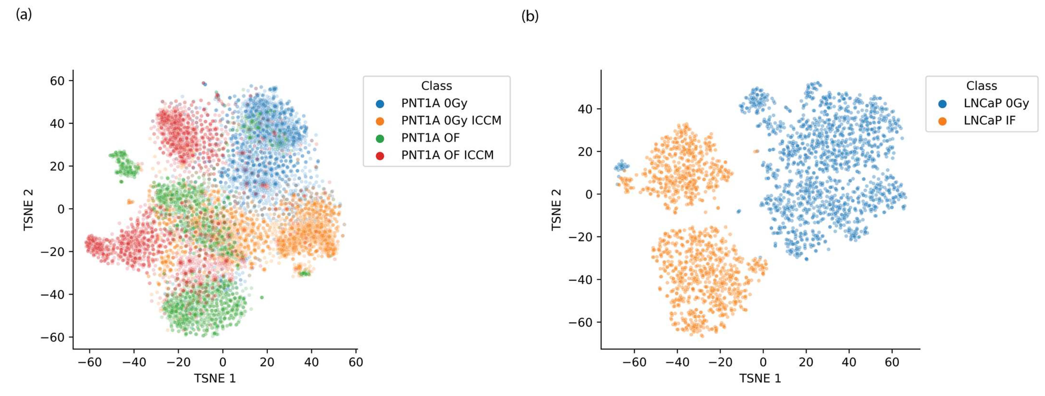 Ijms 23 12986 g003 Ijms 23 12986 g003