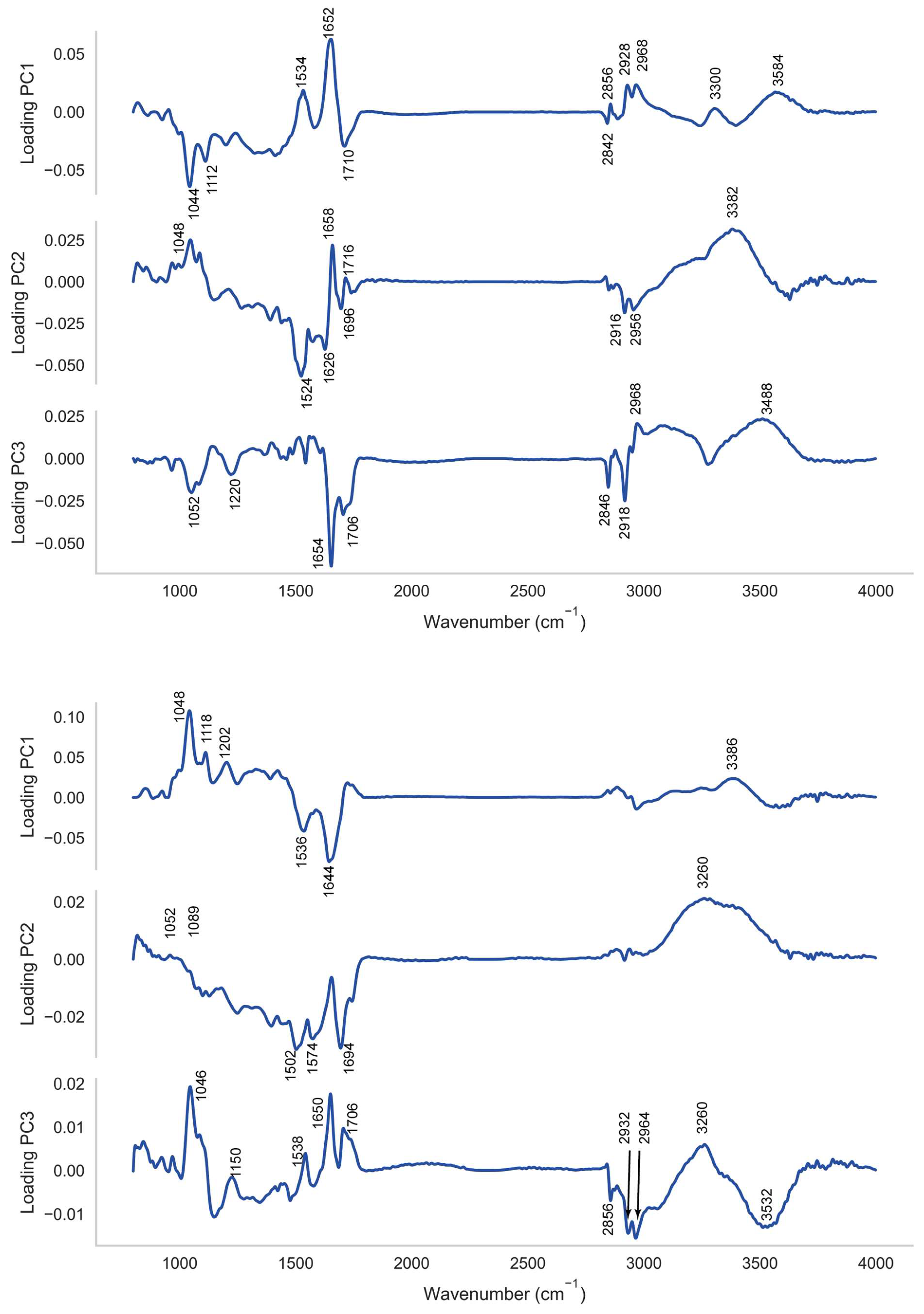 Ijms 23 12986 g005 Ijms 23 12986 g005