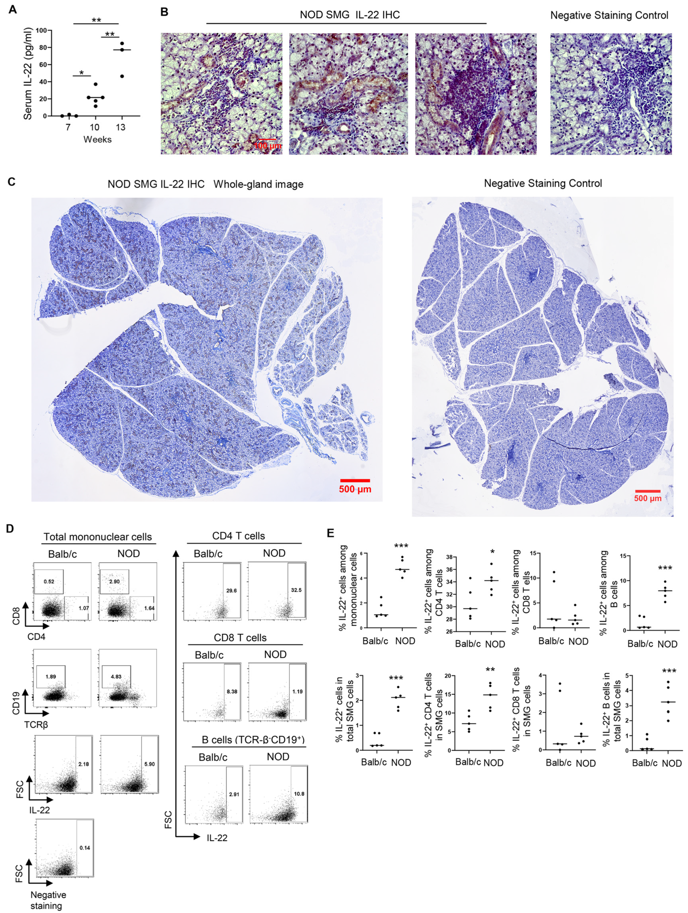Ijms 23 12997 g001 Ijms 23 12997 g001