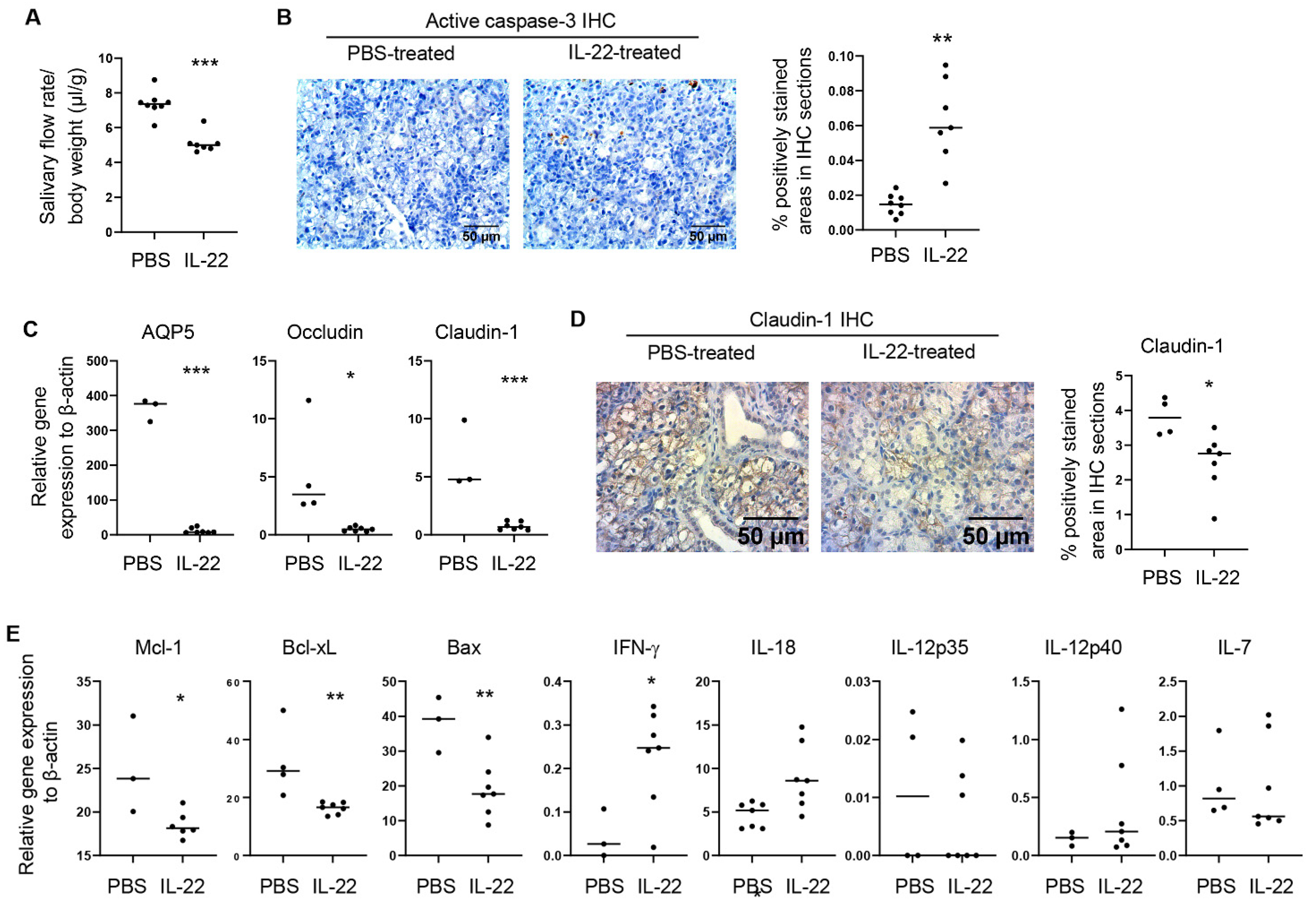 Ijms 23 12997 g002 Ijms 23 12997 g002