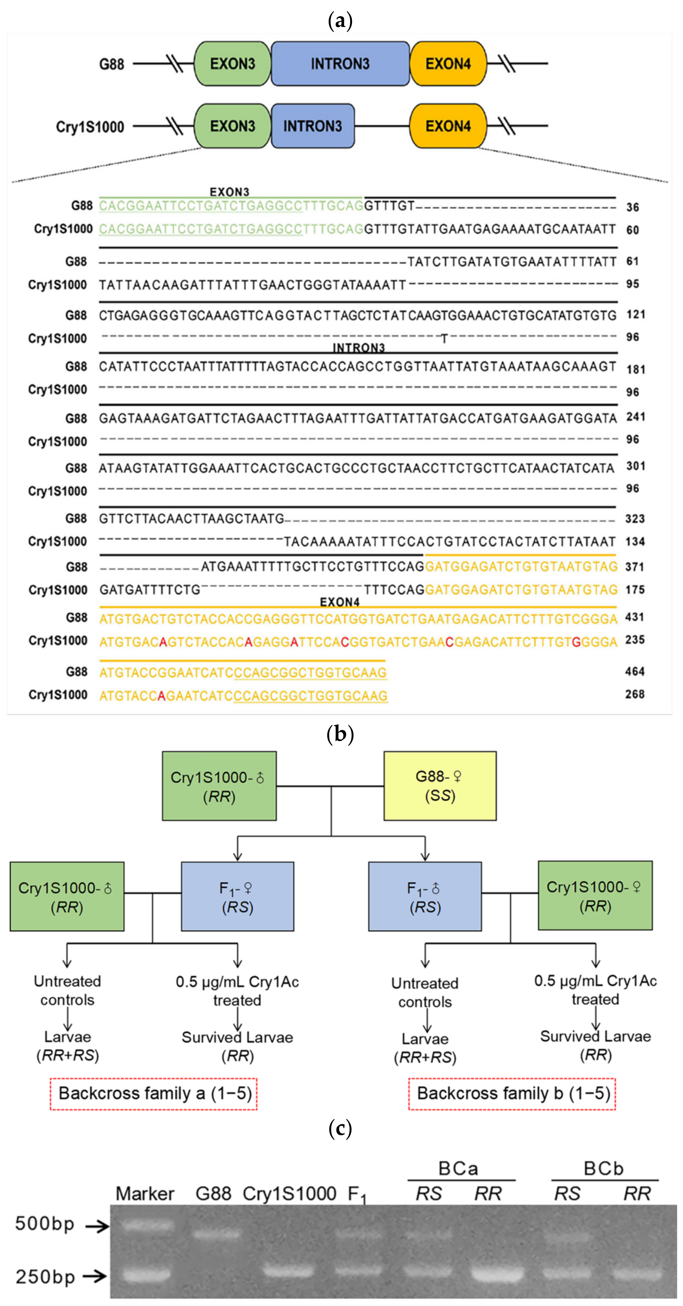Ijms 23 13005 g004 Ijms 23 13005 g004