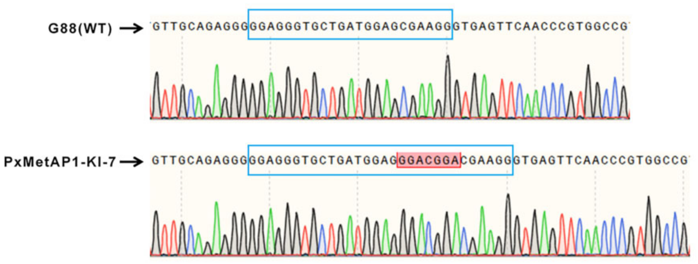 Ijms 23 13005 g005 Ijms 23 13005 g005
