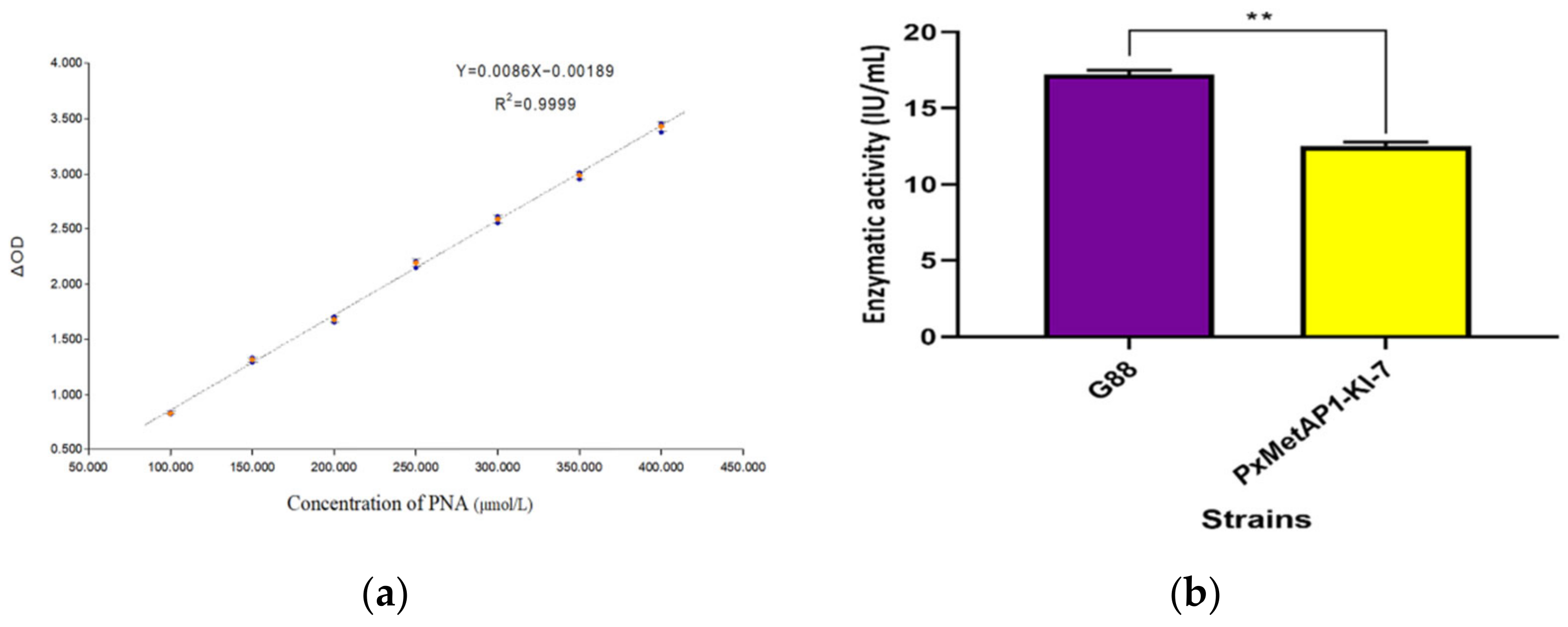 Ijms 23 13005 g006 Ijms 23 13005 g006