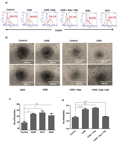 Ijms 23 13020 g001 550