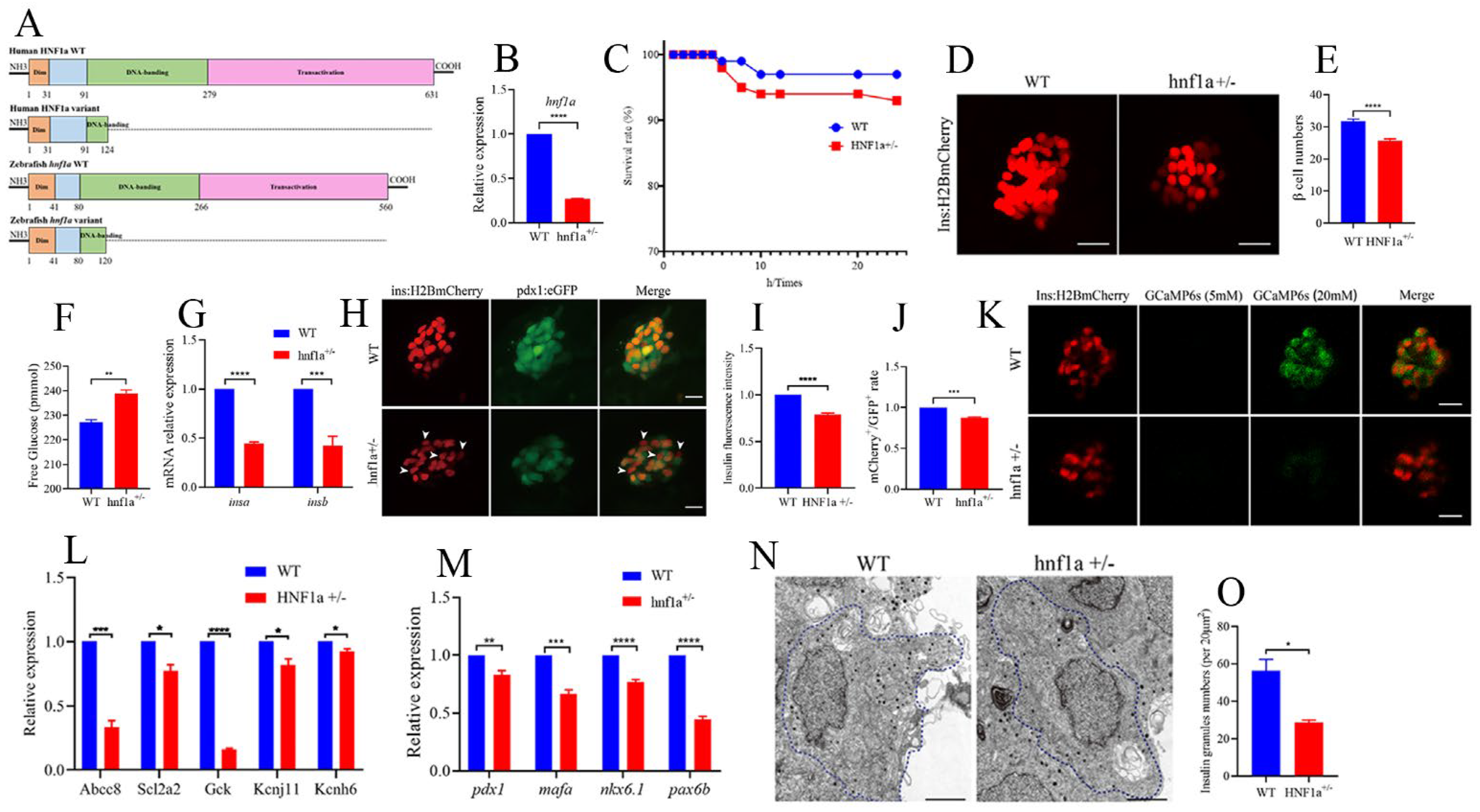 Ijms 23 13022 g002 Ijms 23 13022 g002