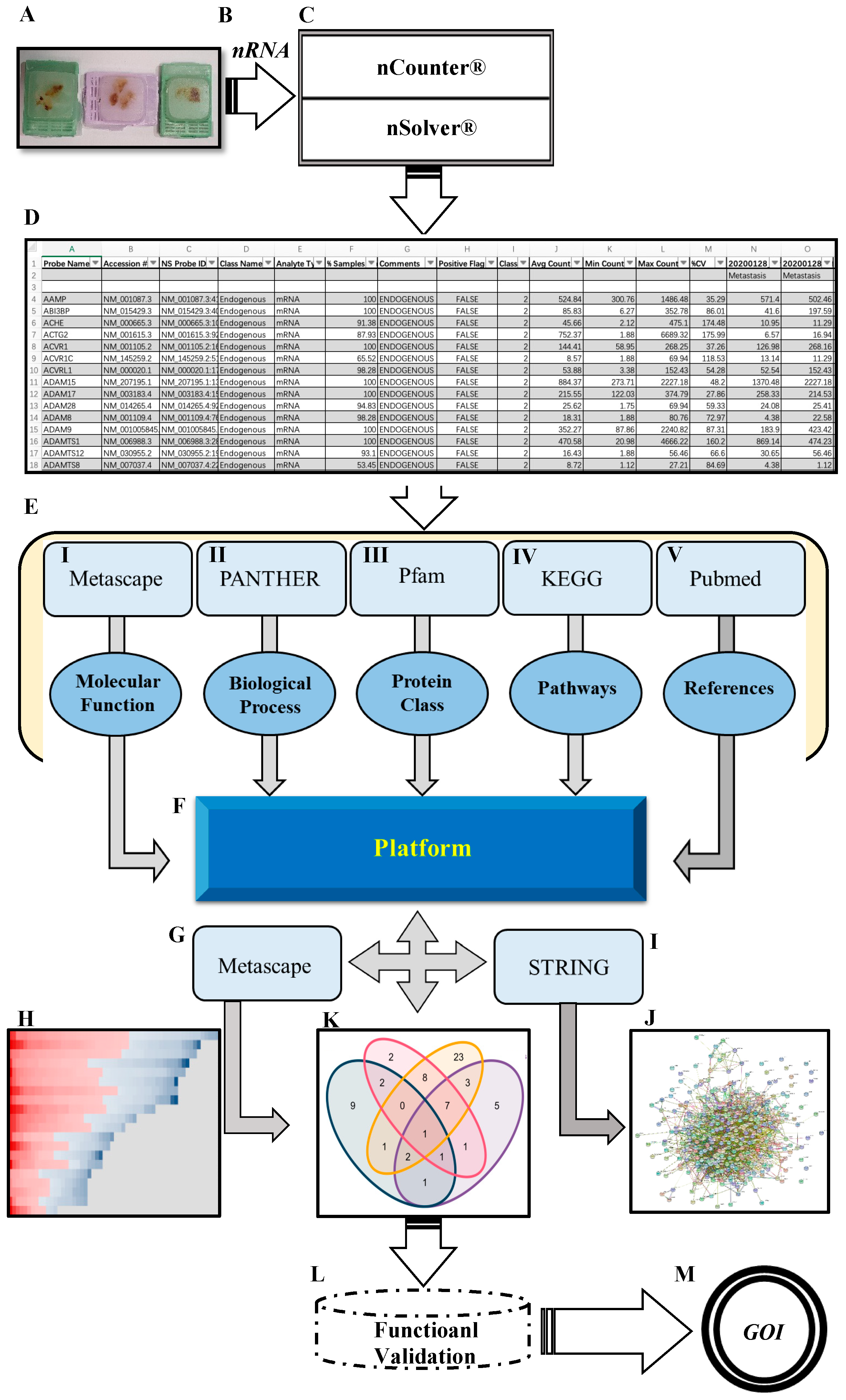 Ijms 23 13029 g001 Ijms 23 13029 g001