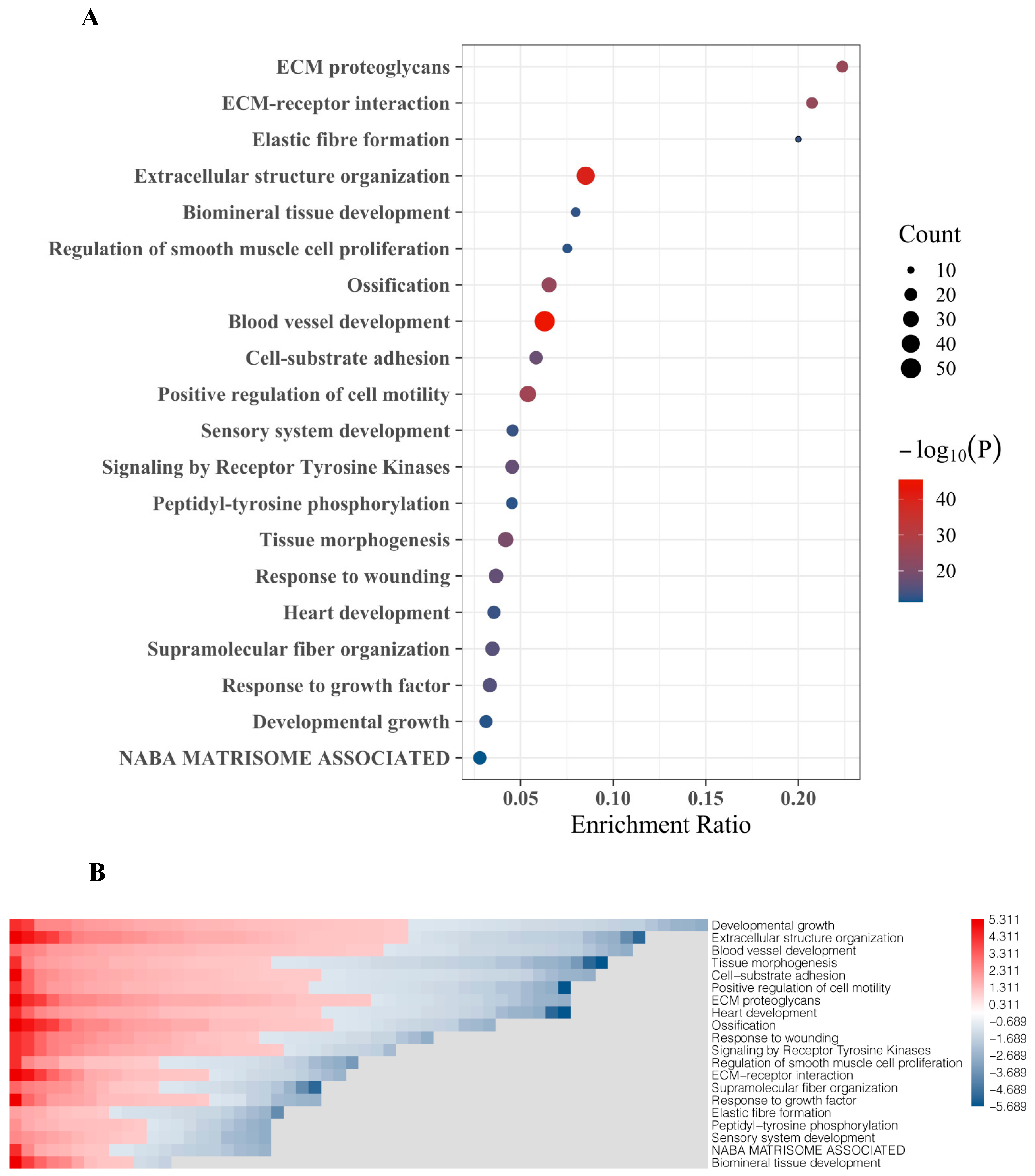 Ijms 23 13029 g003 Ijms 23 13029 g003