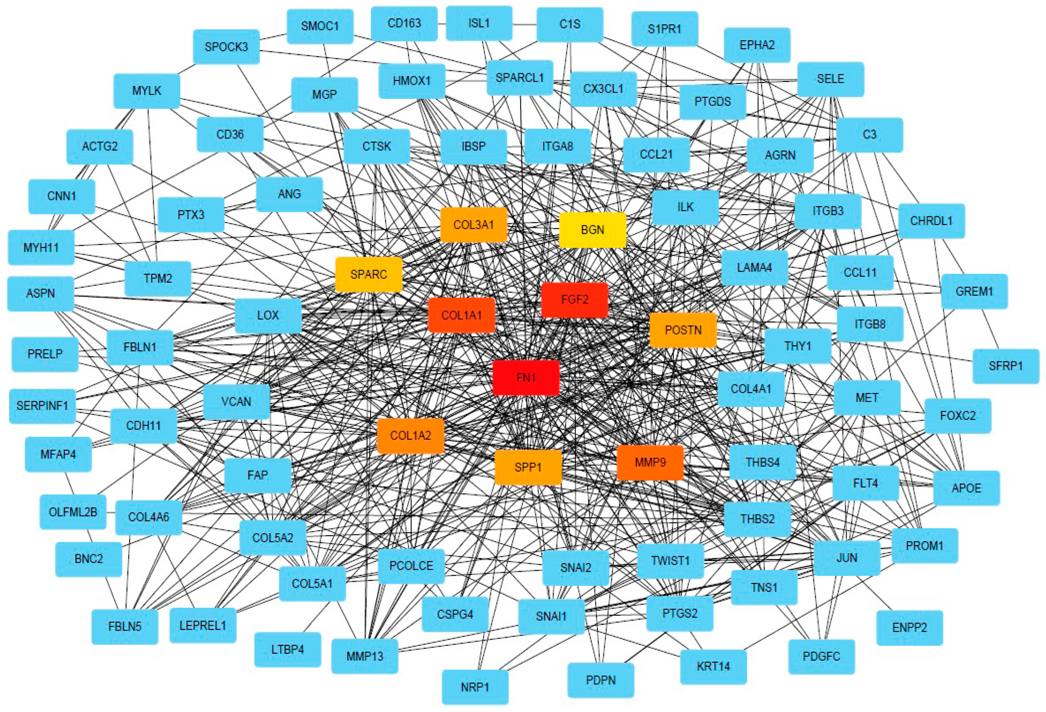 Ijms 23 13029 g004 Ijms 23 13029 g004