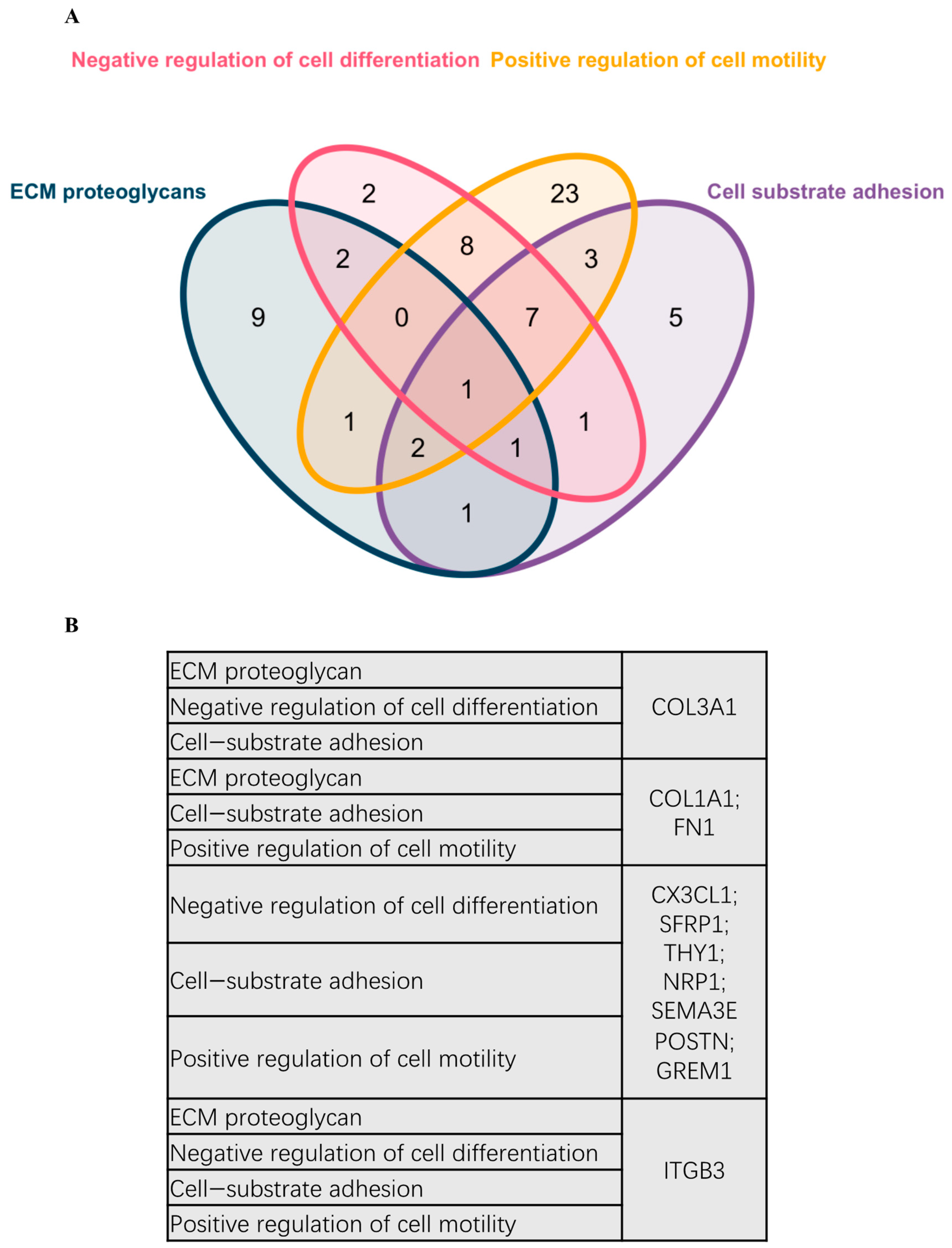 Ijms 23 13029 g005 Ijms 23 13029 g005