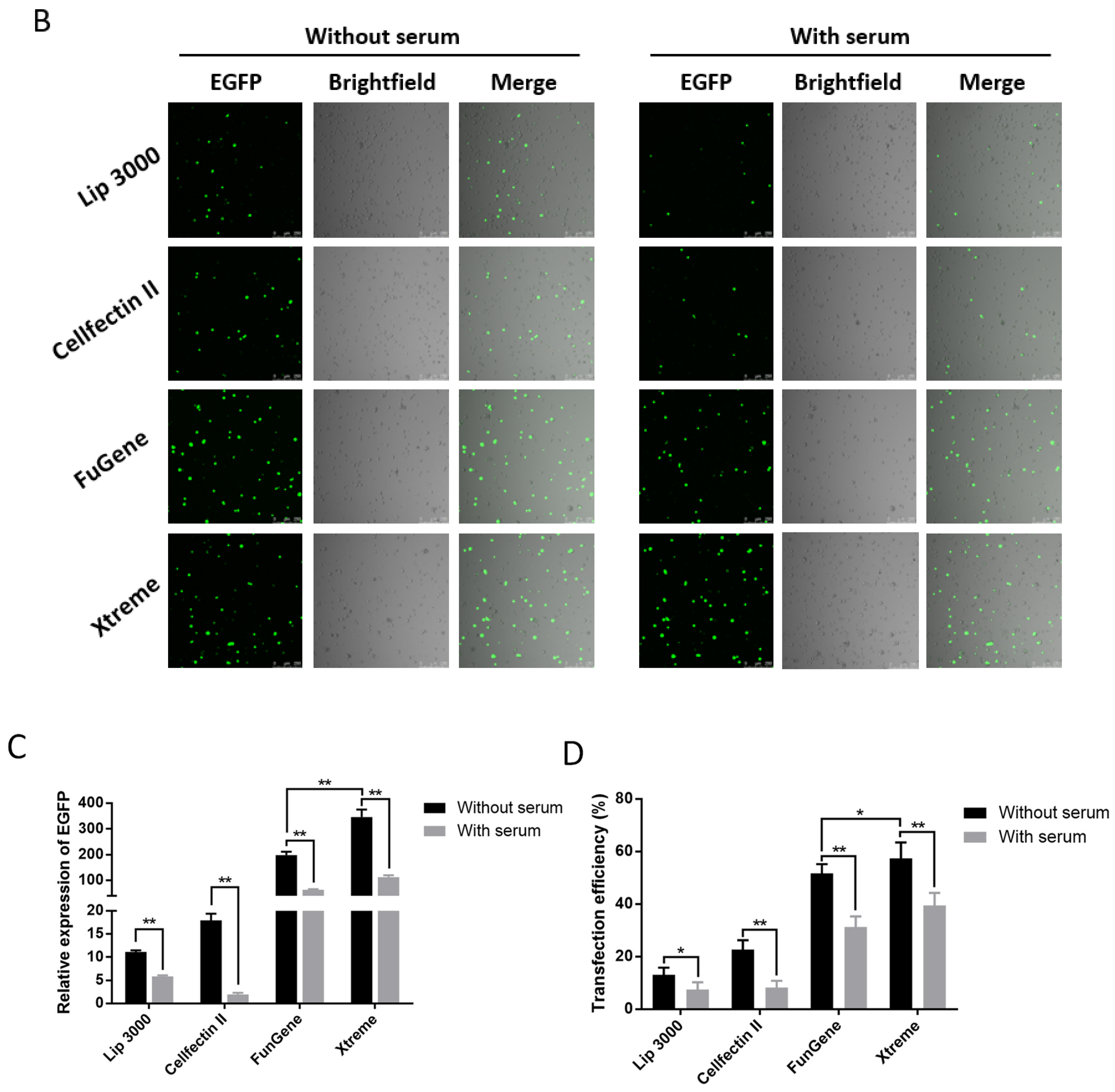 Ijms 23 13042 g001b Ijms 23 13042 g001b