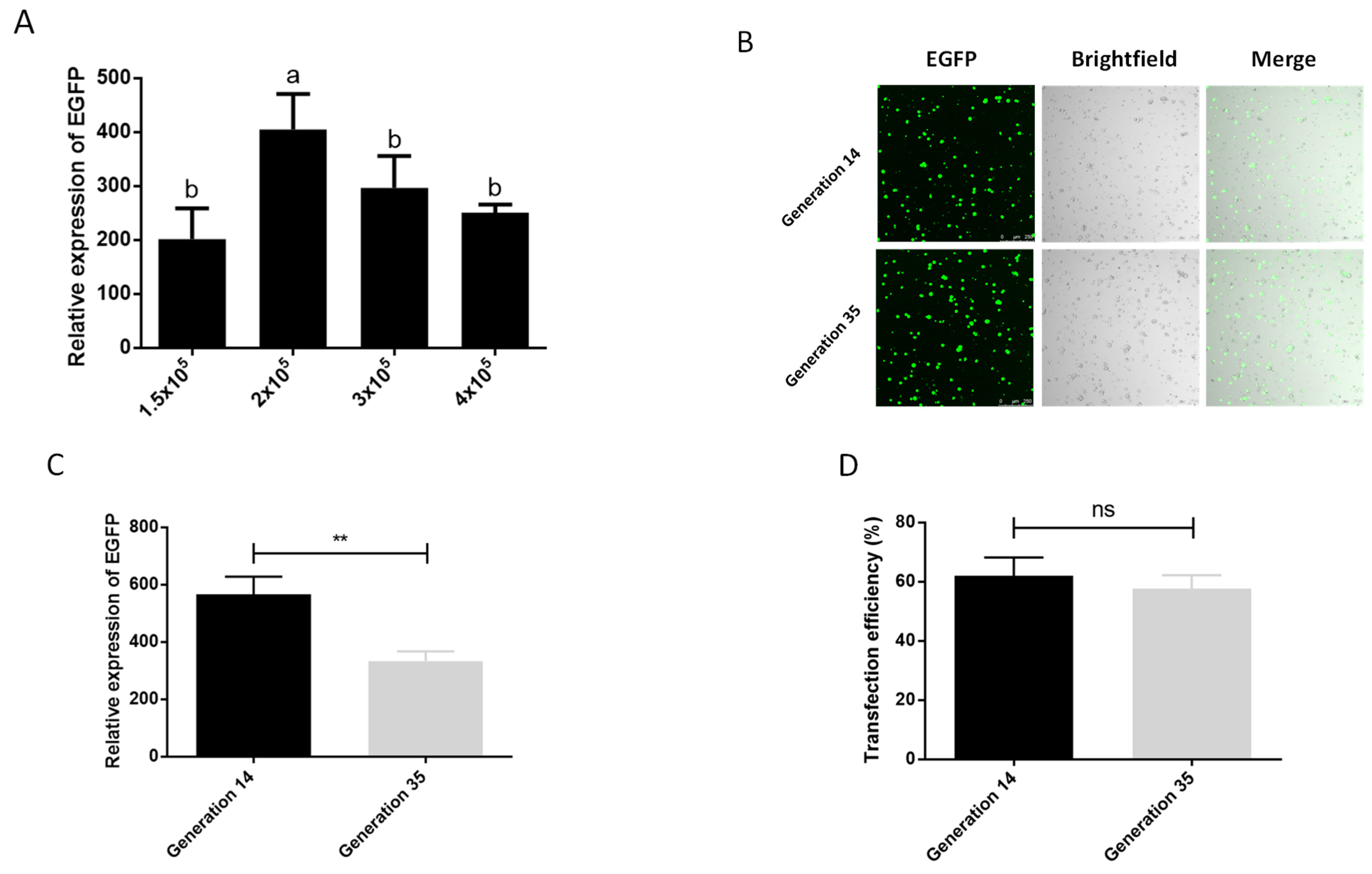 Ijms 23 13042 g002 Ijms 23 13042 g002