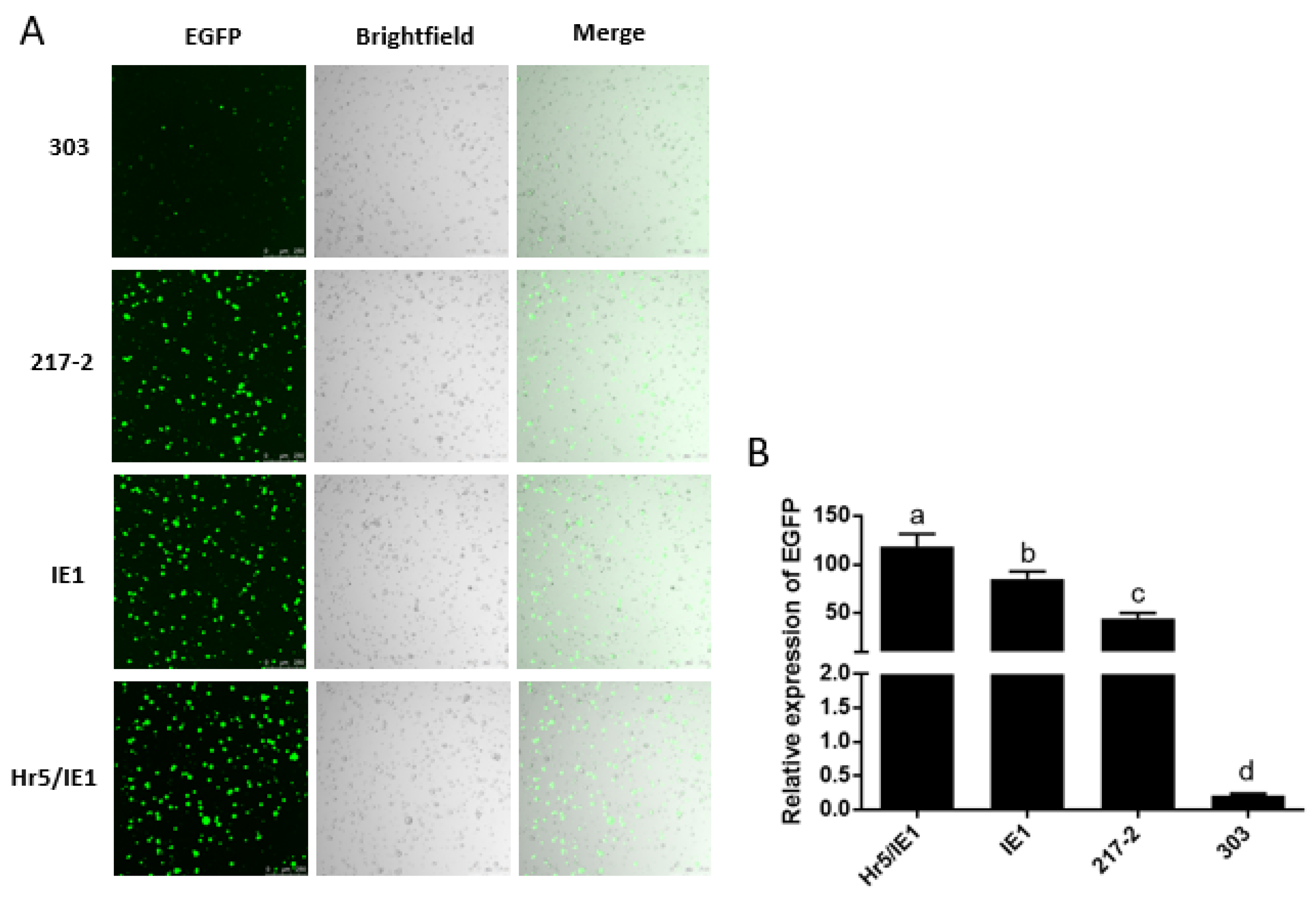 Ijms 23 13042 g004 Ijms 23 13042 g004