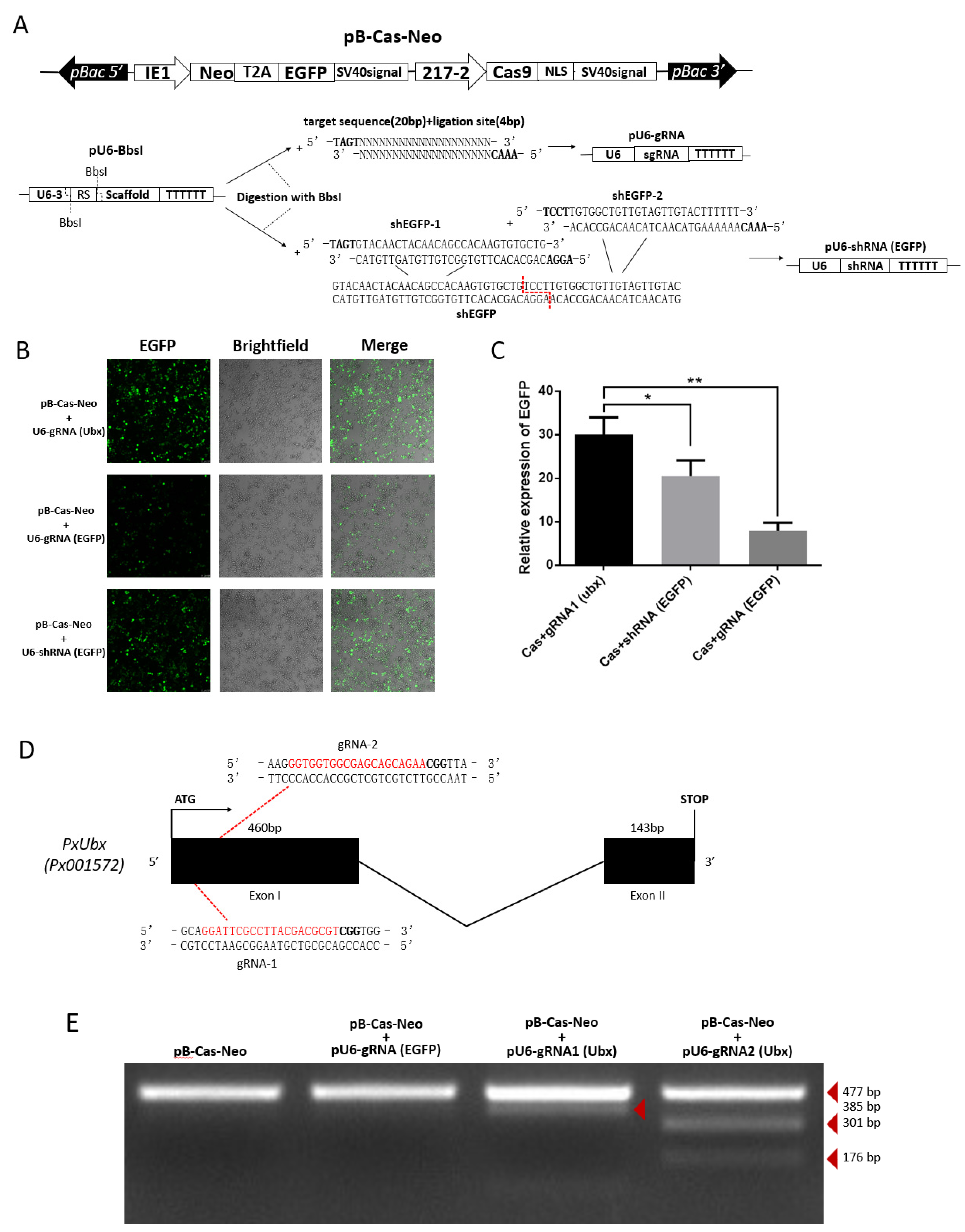 Ijms 23 13042 g005 Ijms 23 13042 g005