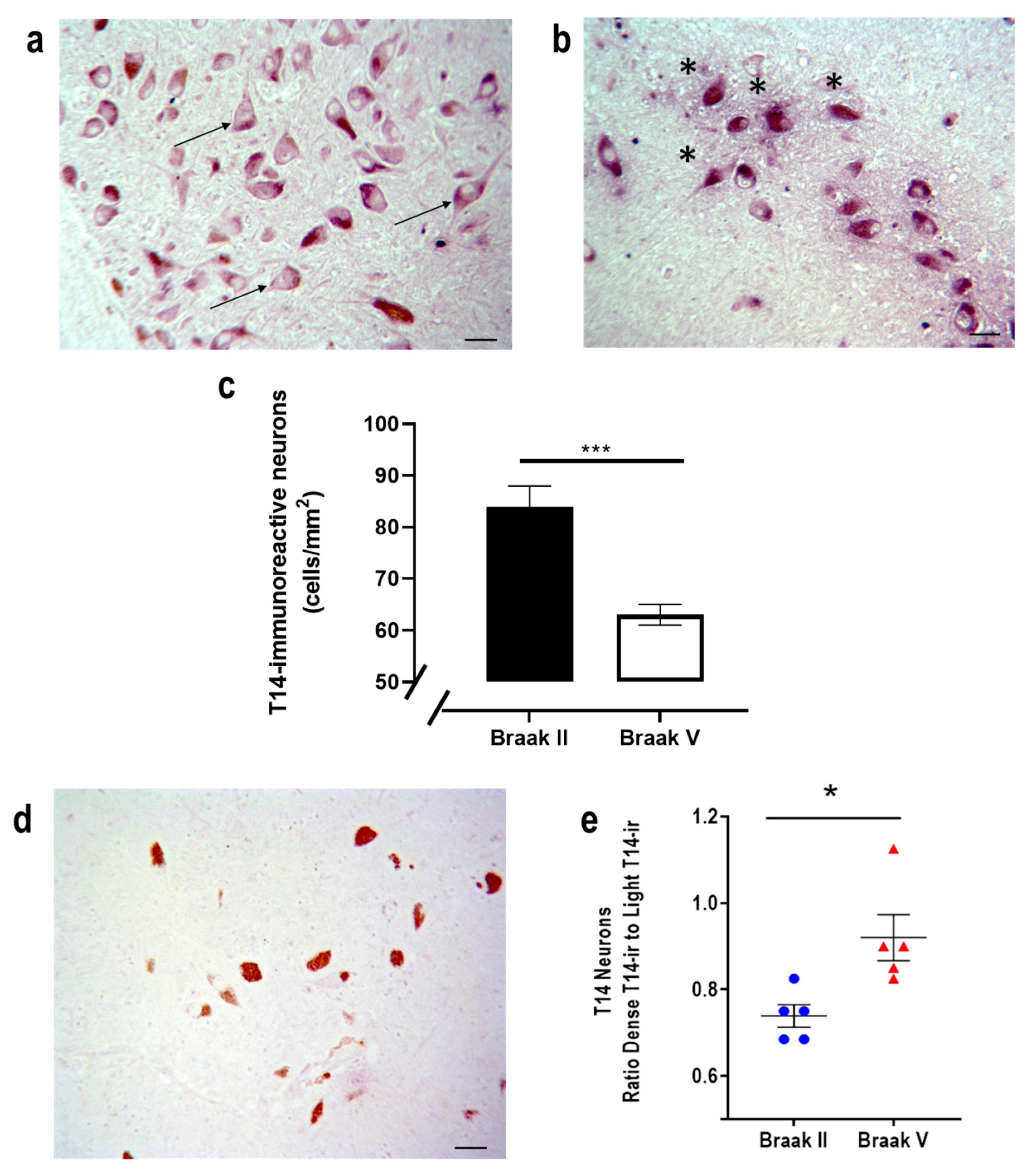 Ijms 23 13119 g002 Ijms 23 13119 g002