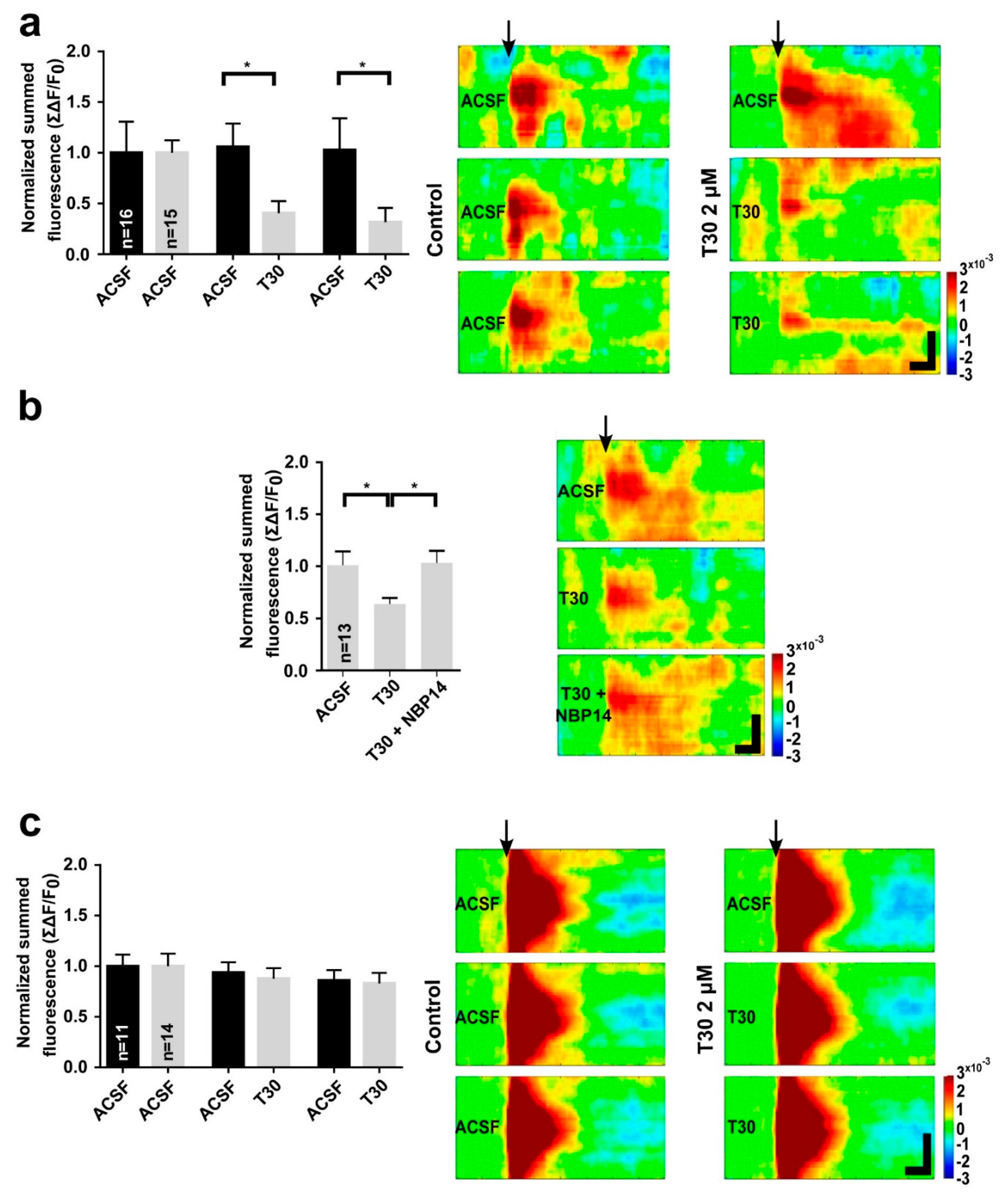 Ijms 23 13119 g003 Ijms 23 13119 g003