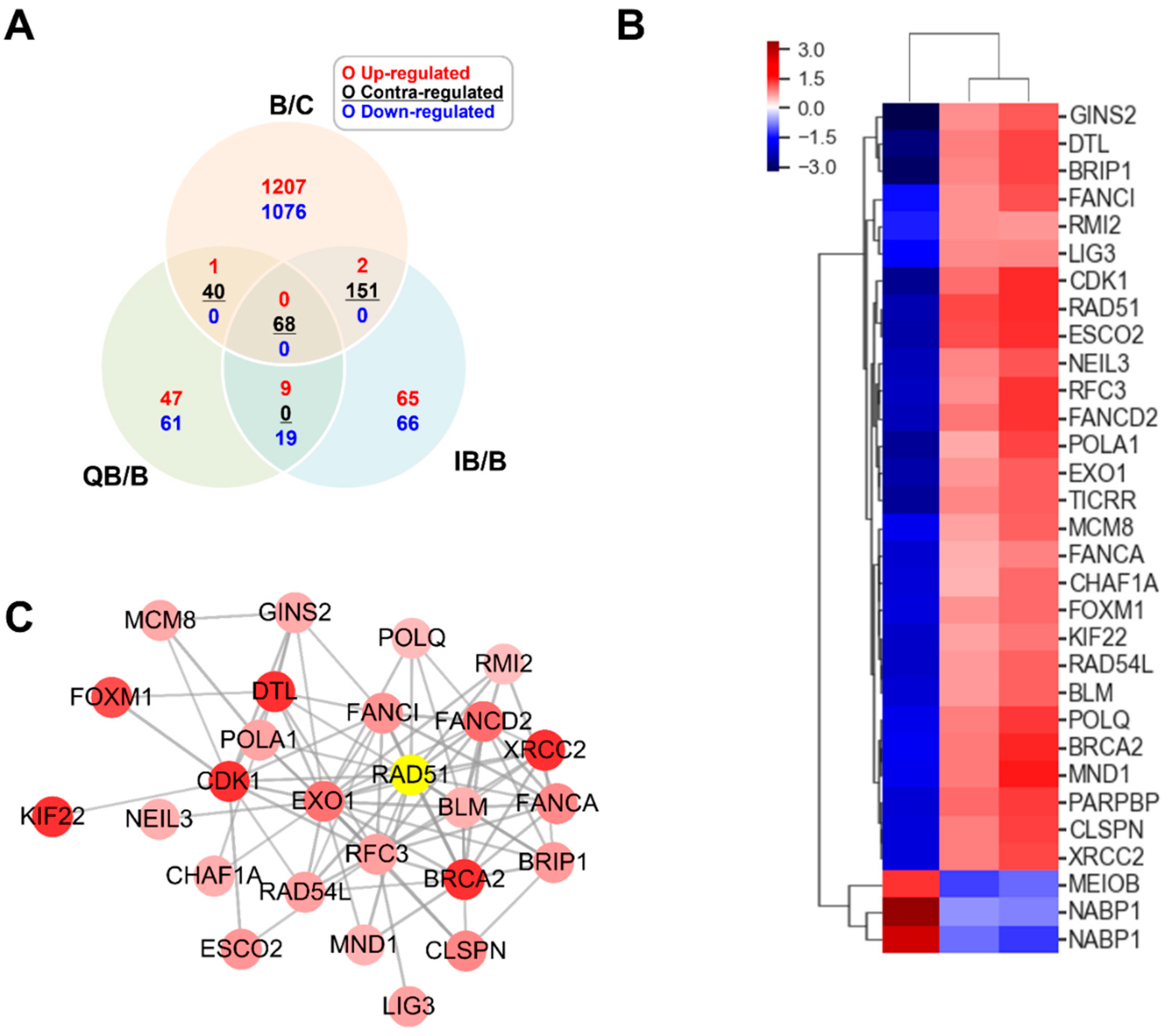 Ijms 23 13125 g002 Ijms 23 13125 g002