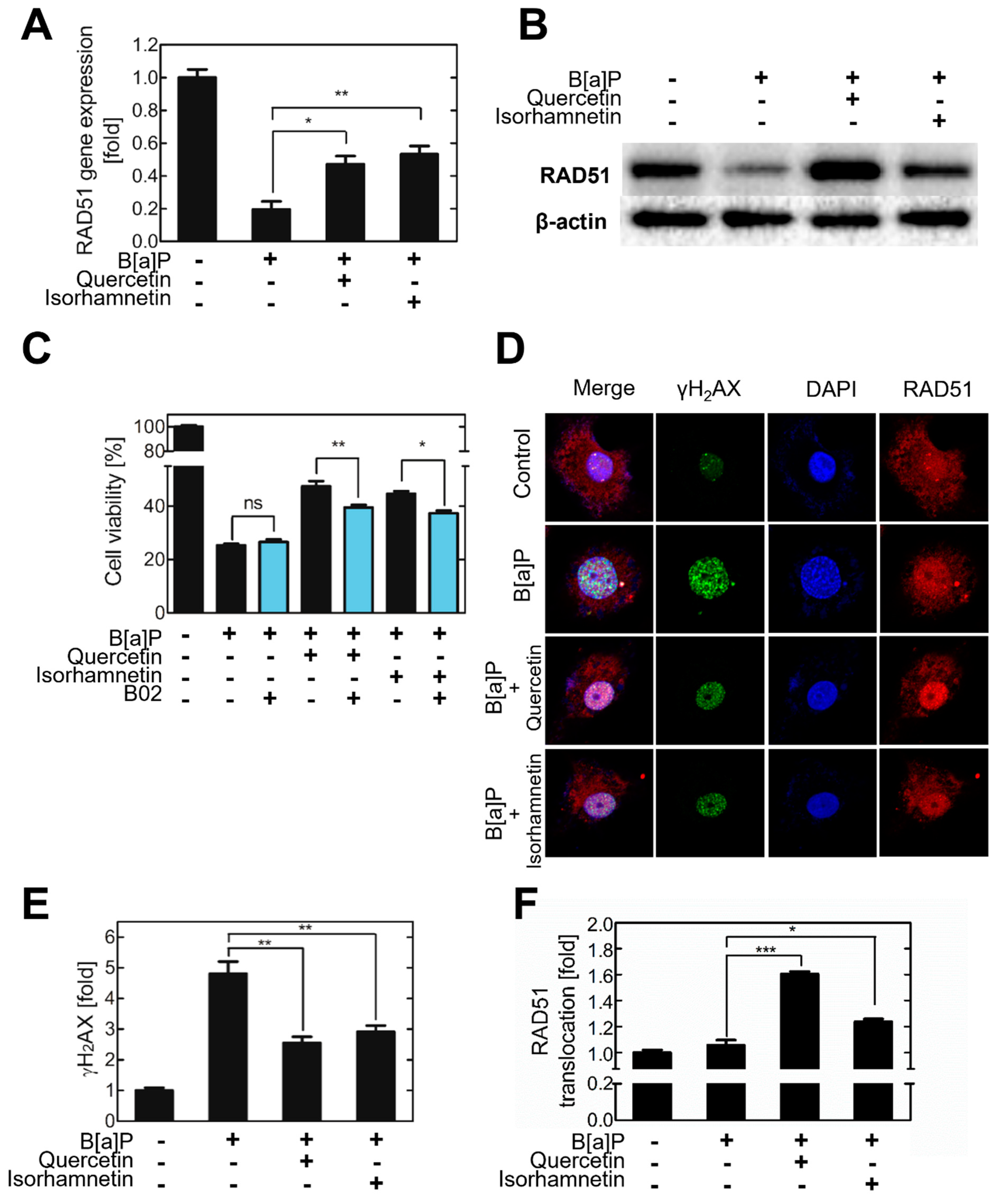 Ijms 23 13125 g003 Ijms 23 13125 g003