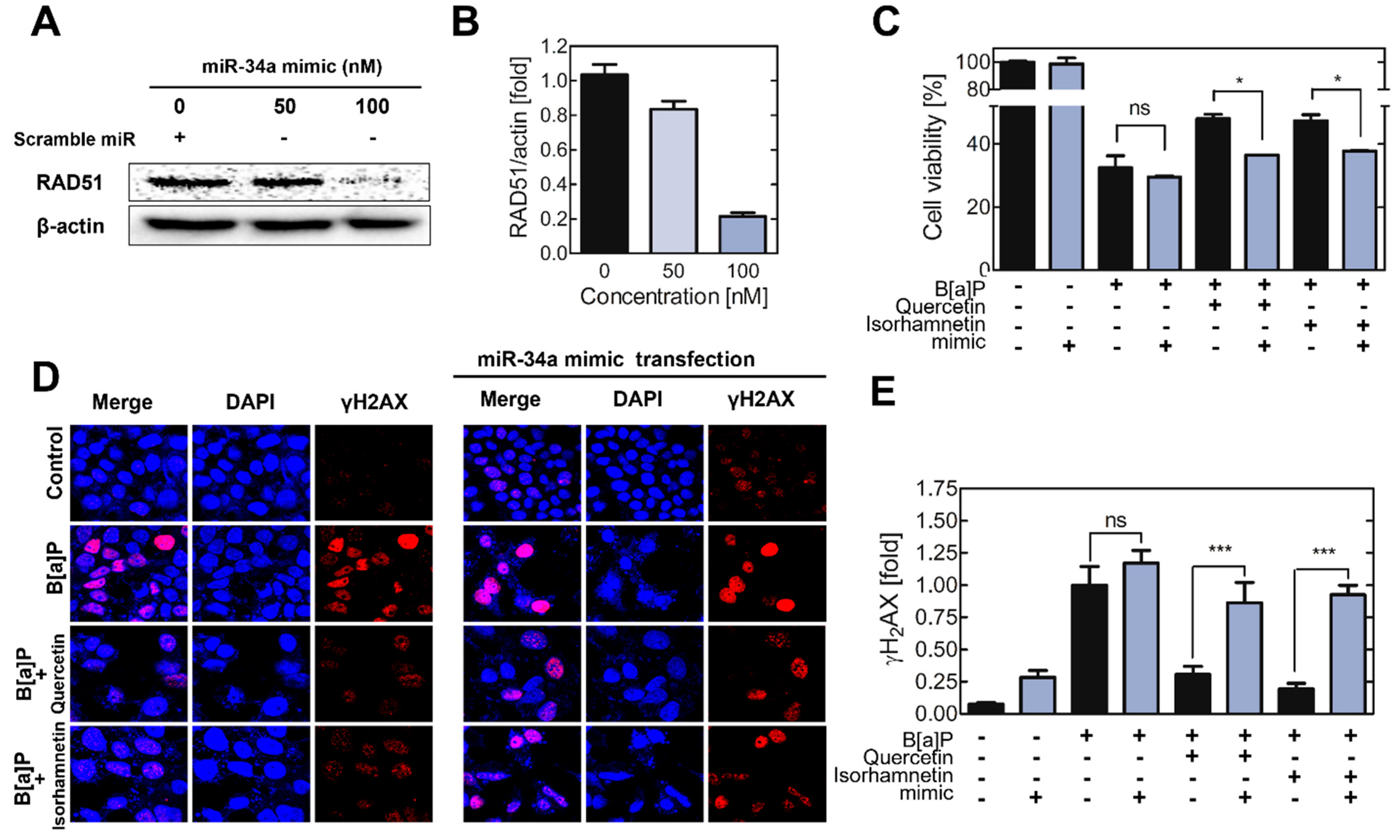 Ijms 23 13125 g005 Ijms 23 13125 g005