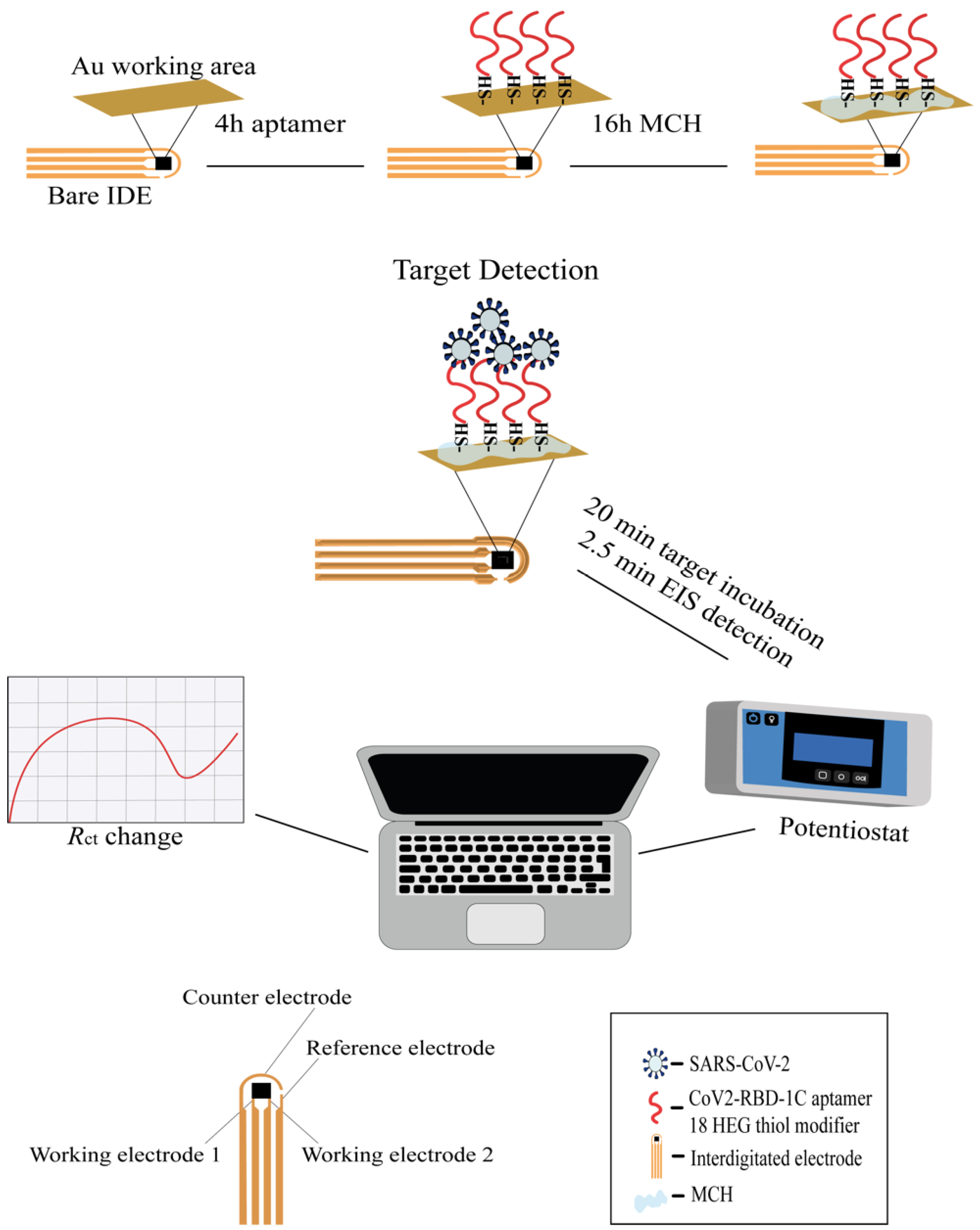 Ijms 23 13138 sch001