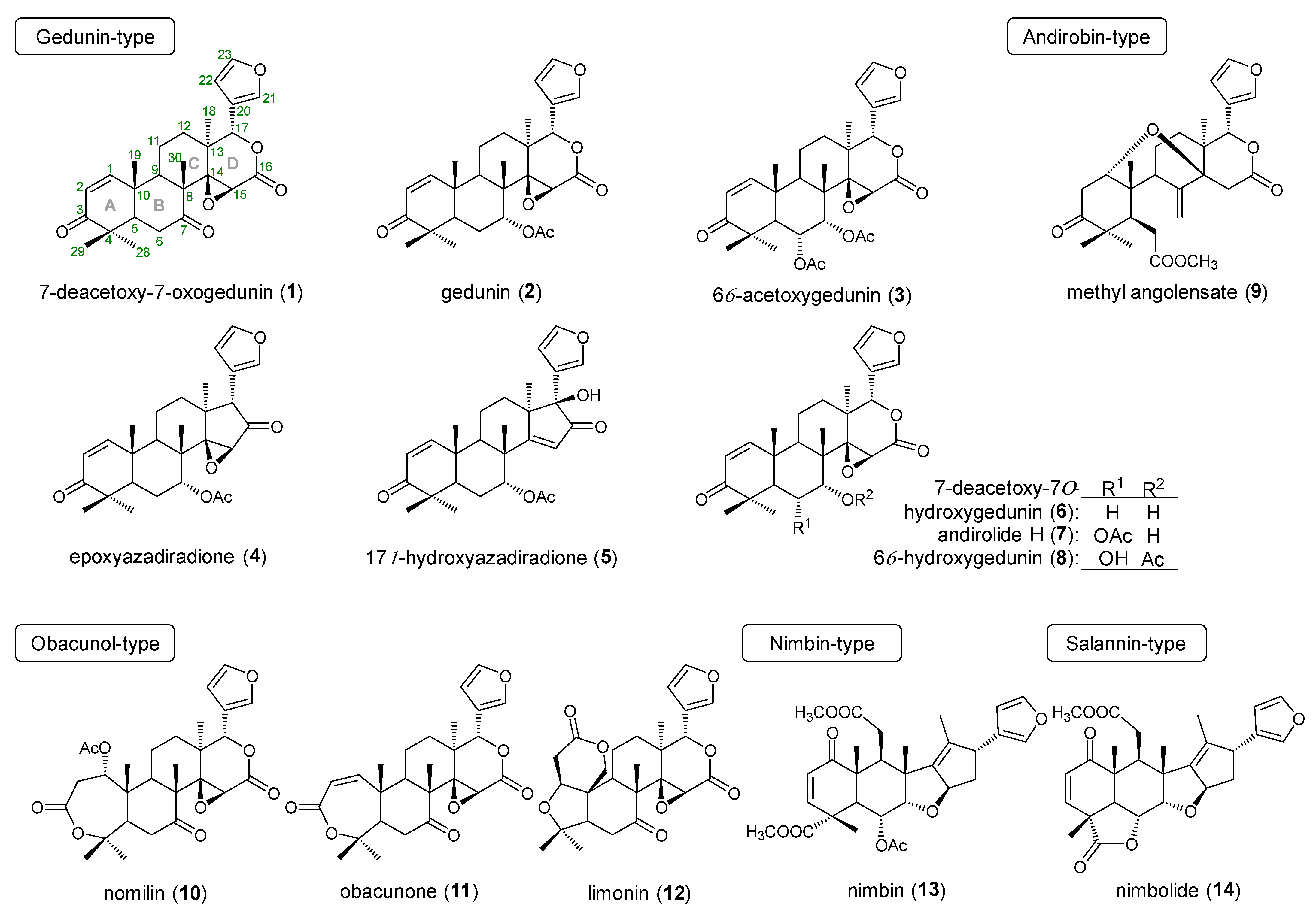 Ijms 23 13141 g001 Ijms 23 13141 g001