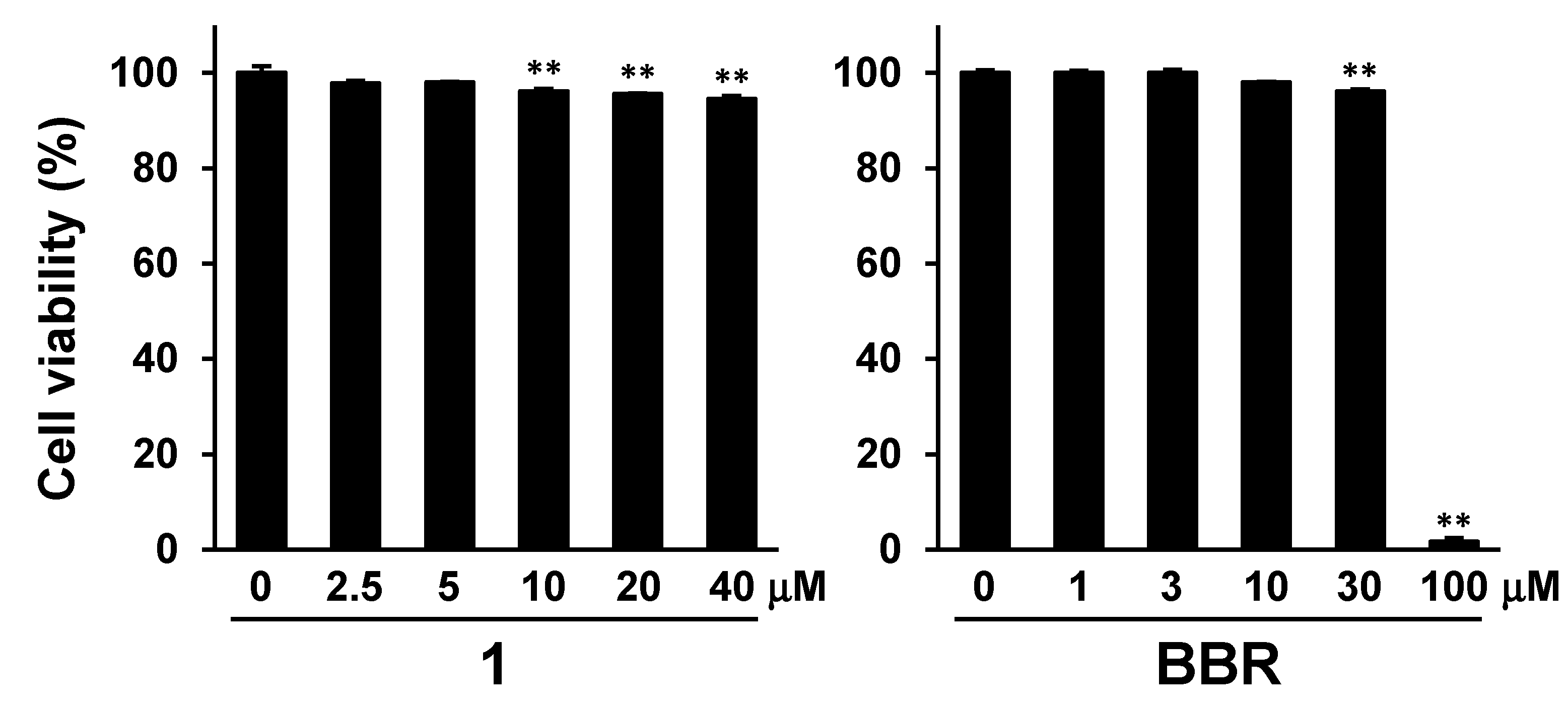 Ijms 23 13141 g003 Ijms 23 13141 g003