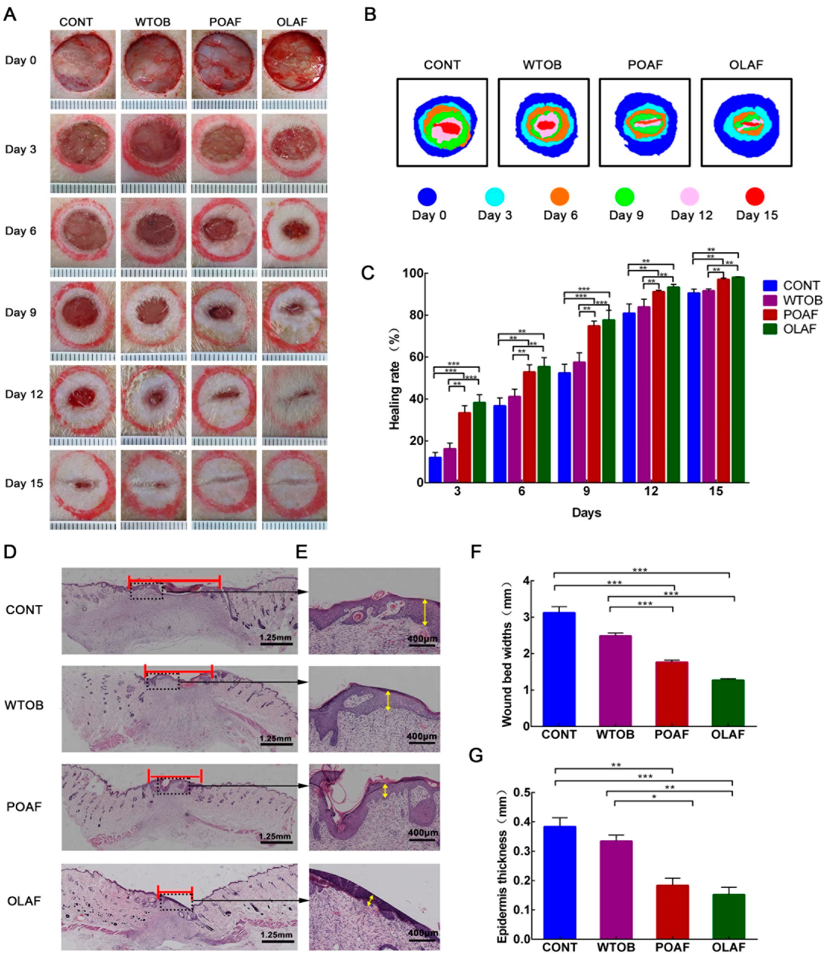 Ijms 23 13152 g001 Ijms 23 13152 g001
