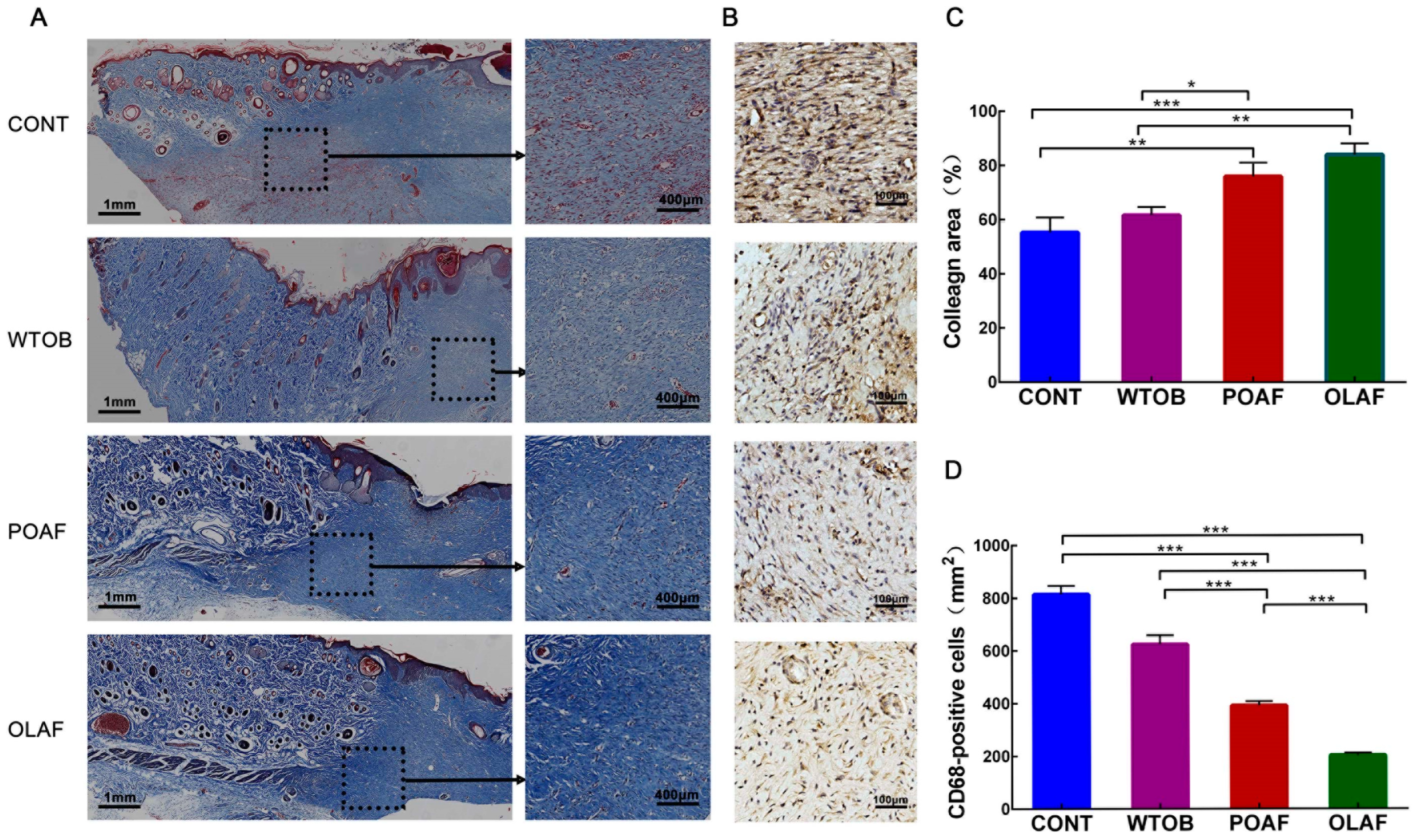 Ijms 23 13152 g002 Ijms 23 13152 g002