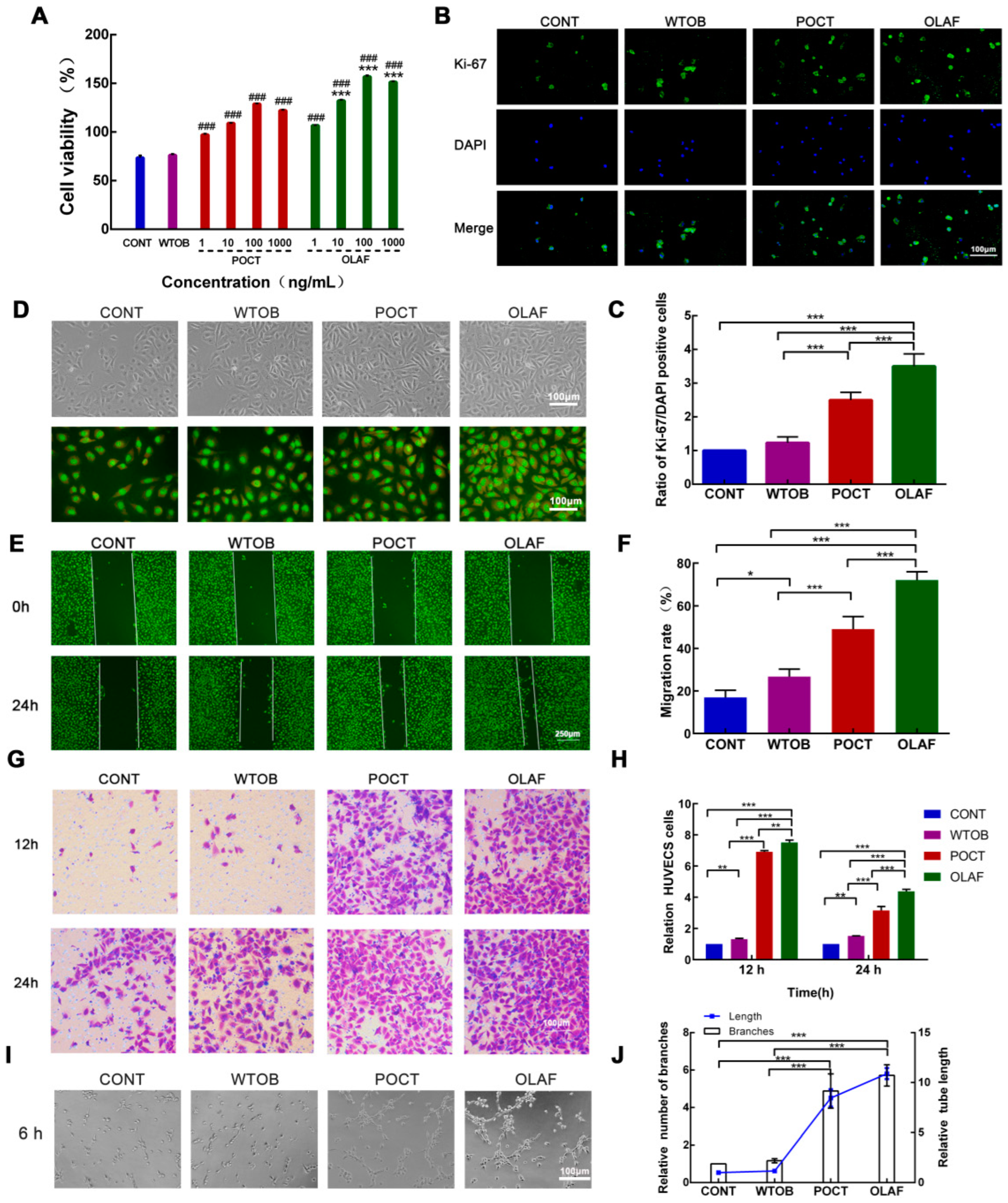 Ijms 23 13152 g005 Ijms 23 13152 g005