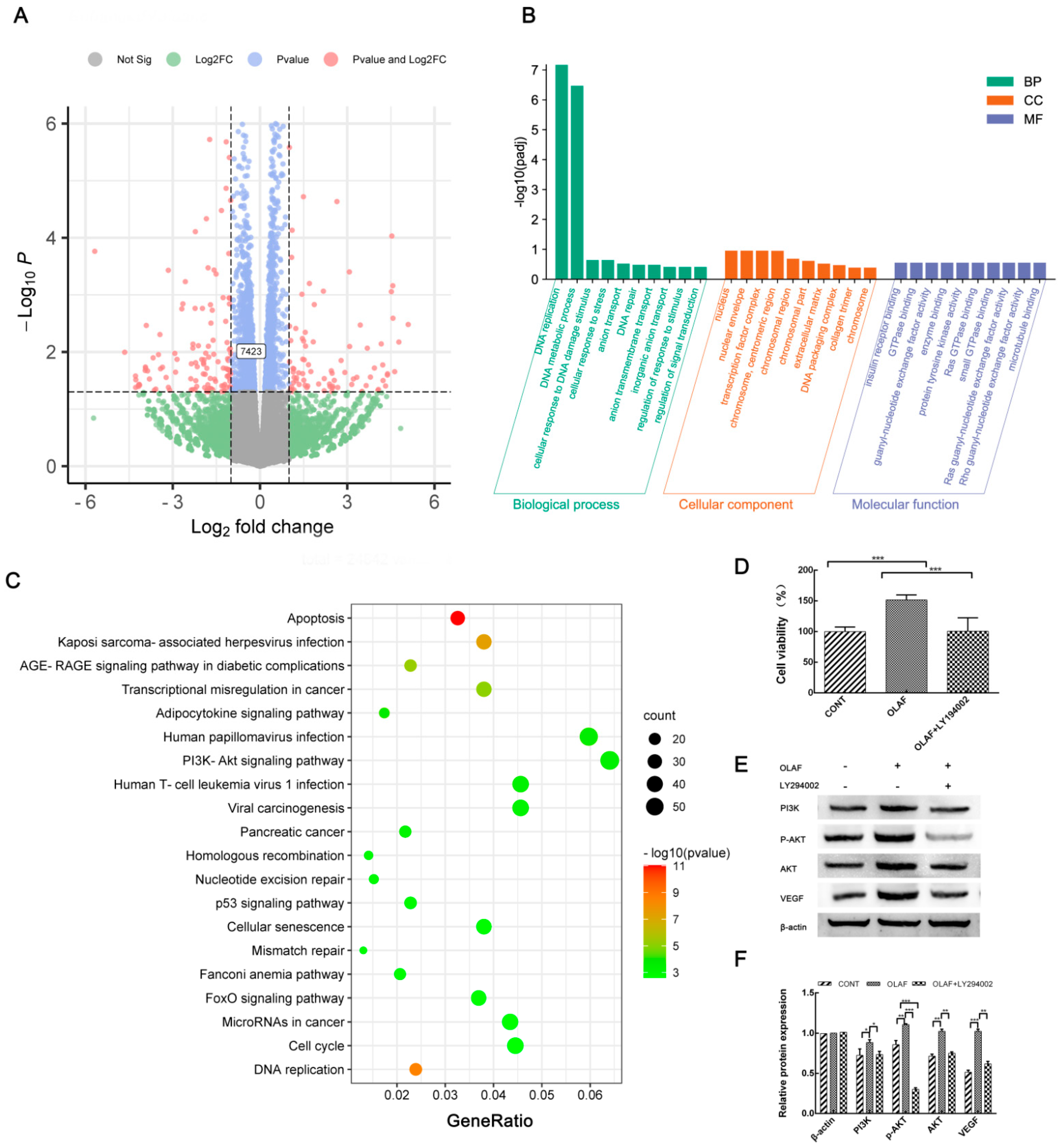 Ijms 23 13152 g006 Ijms 23 13152 g006
