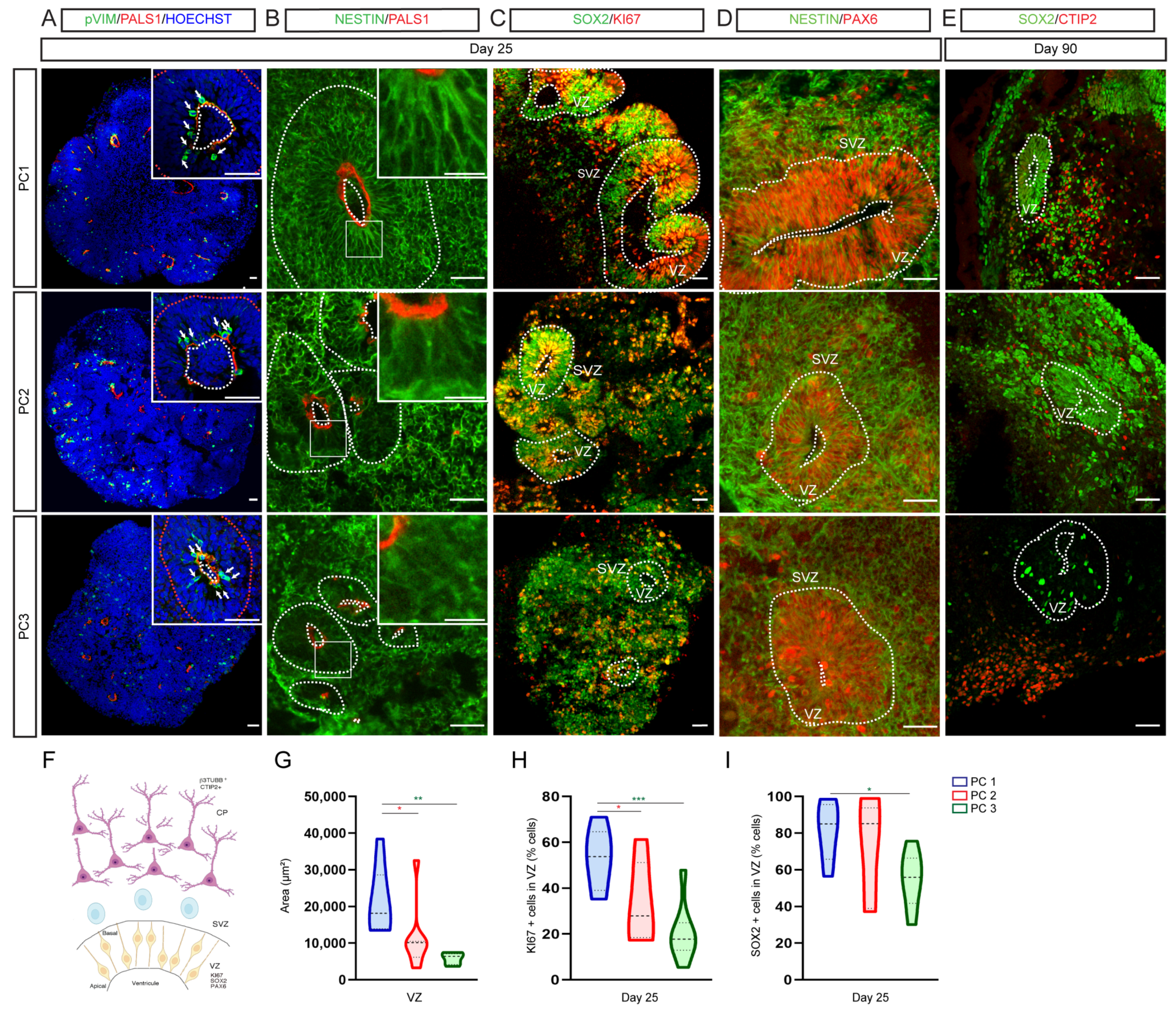 Ijms 23 13159 g002 Ijms 23 13159 g002