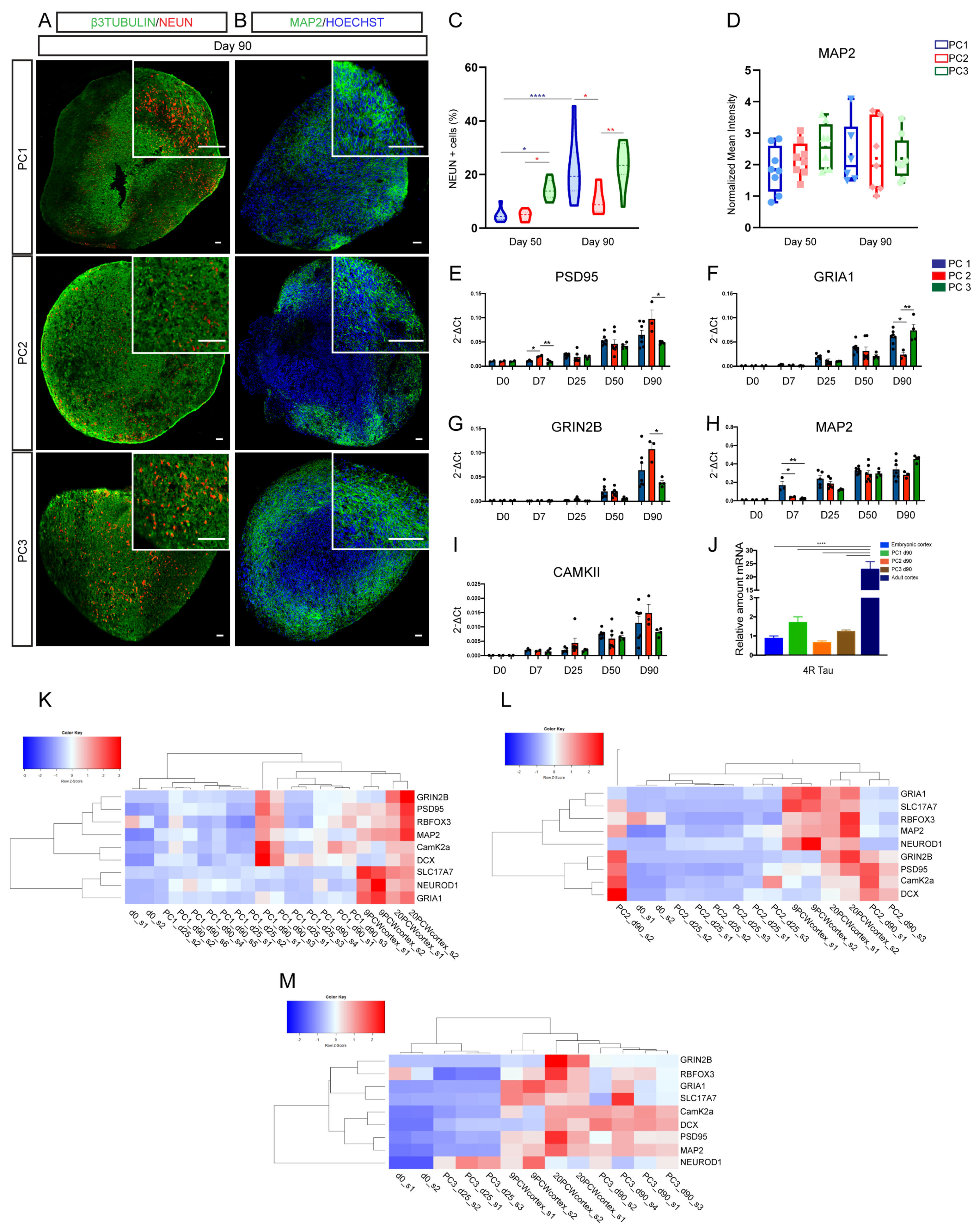 Ijms 23 13159 g003 Ijms 23 13159 g003