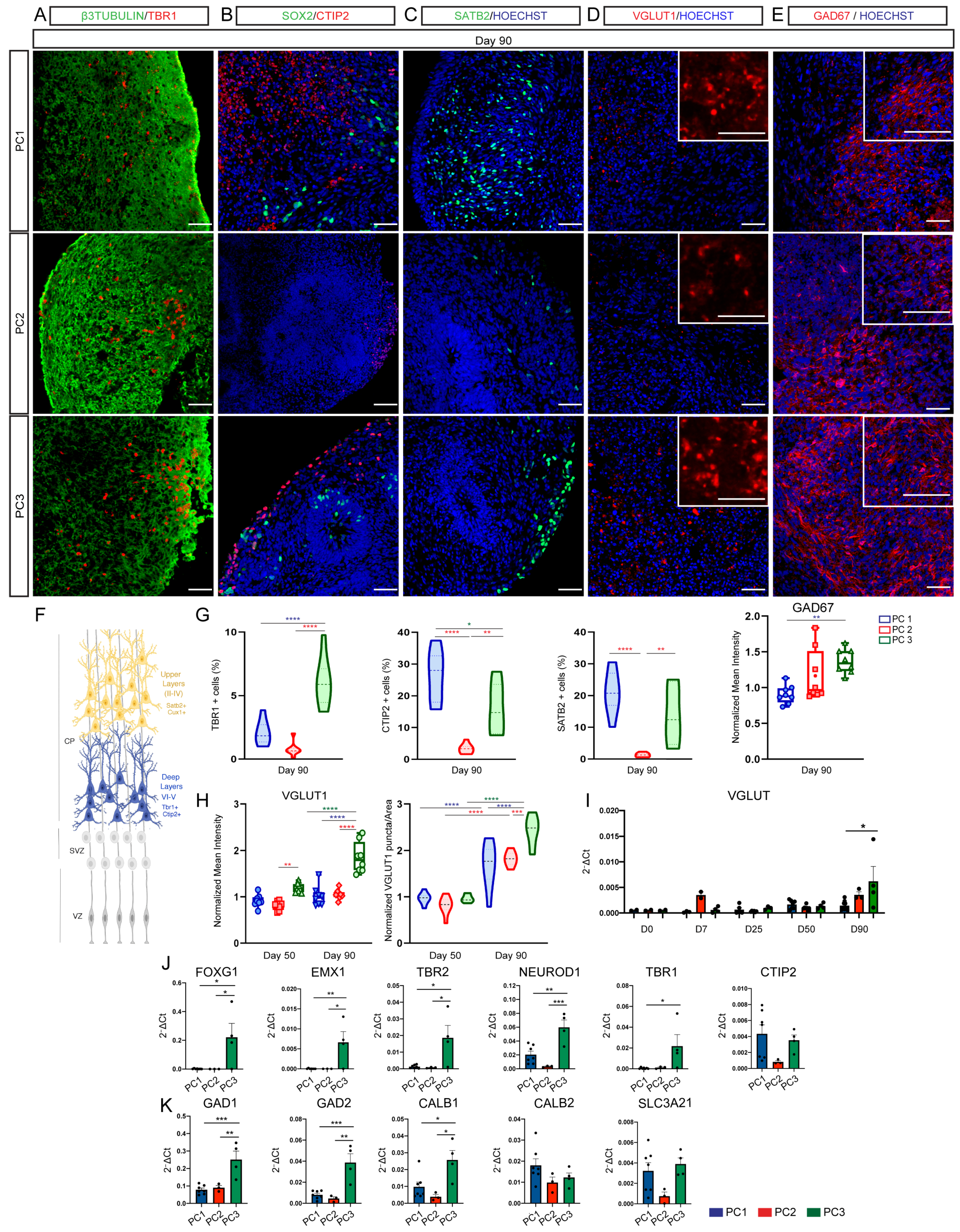 Ijms 23 13159 g004 Ijms 23 13159 g004