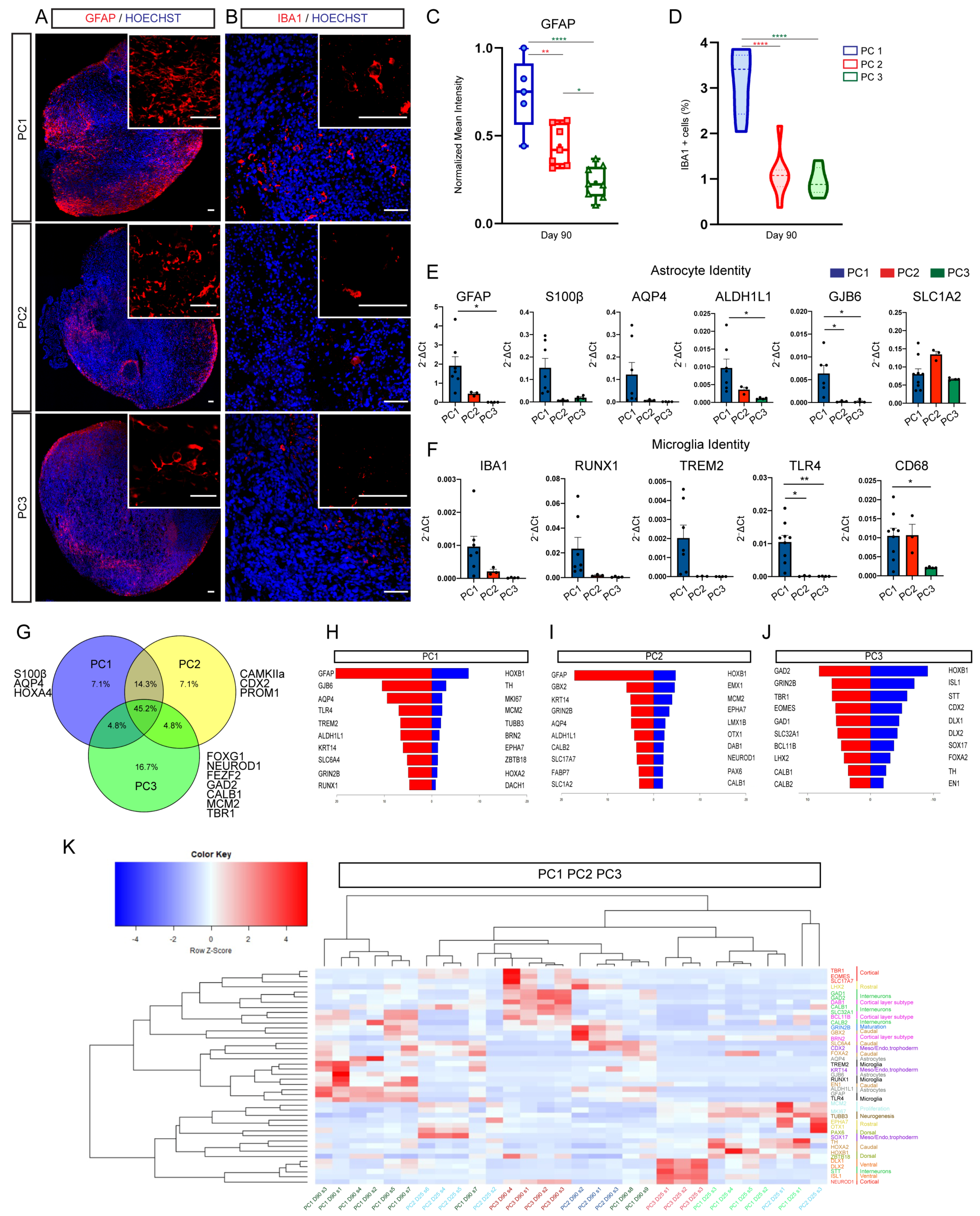 Ijms 23 13159 g005 Ijms 23 13159 g005