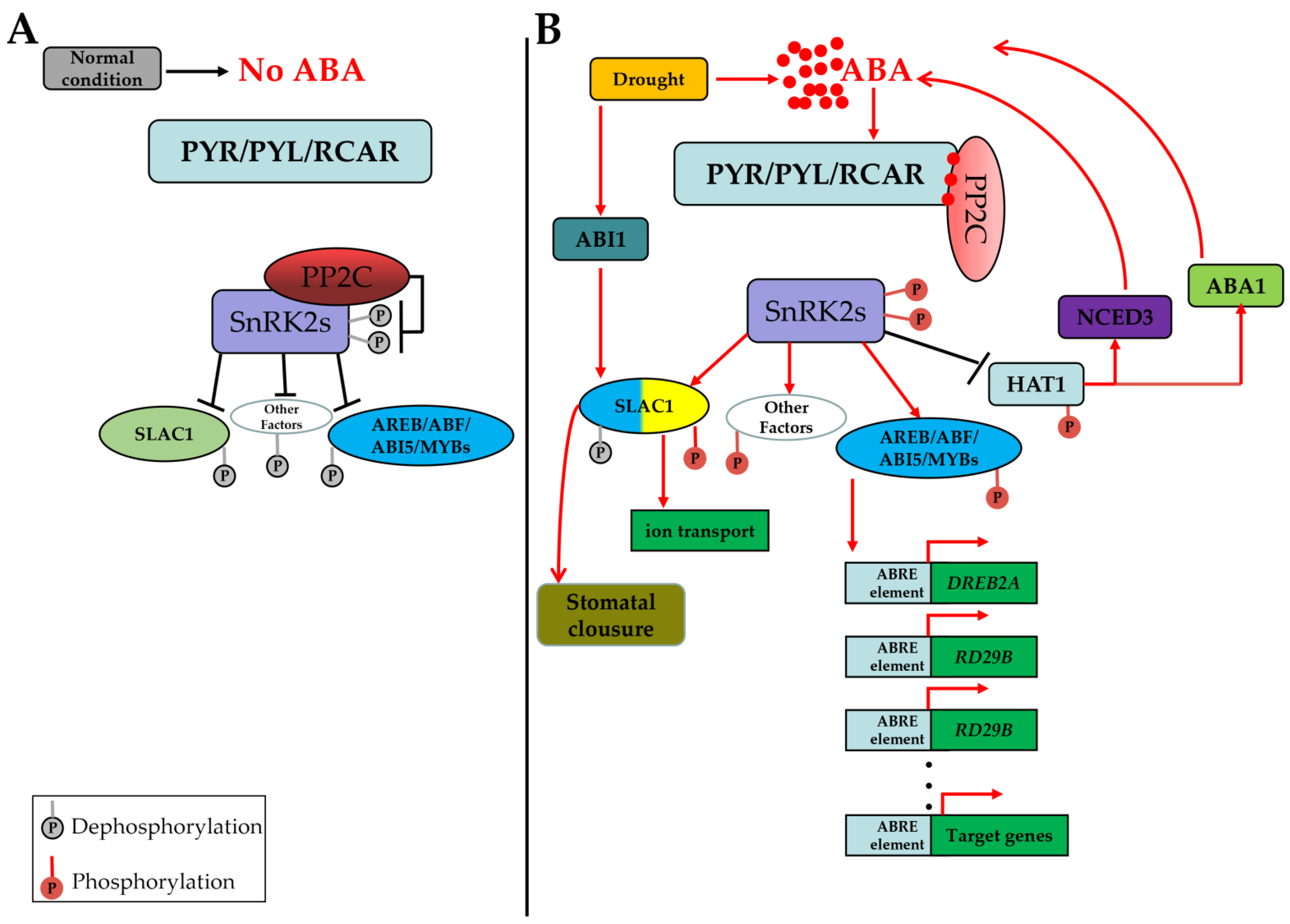 Ijms 23 13166 g001 Ijms 23 13166 g001