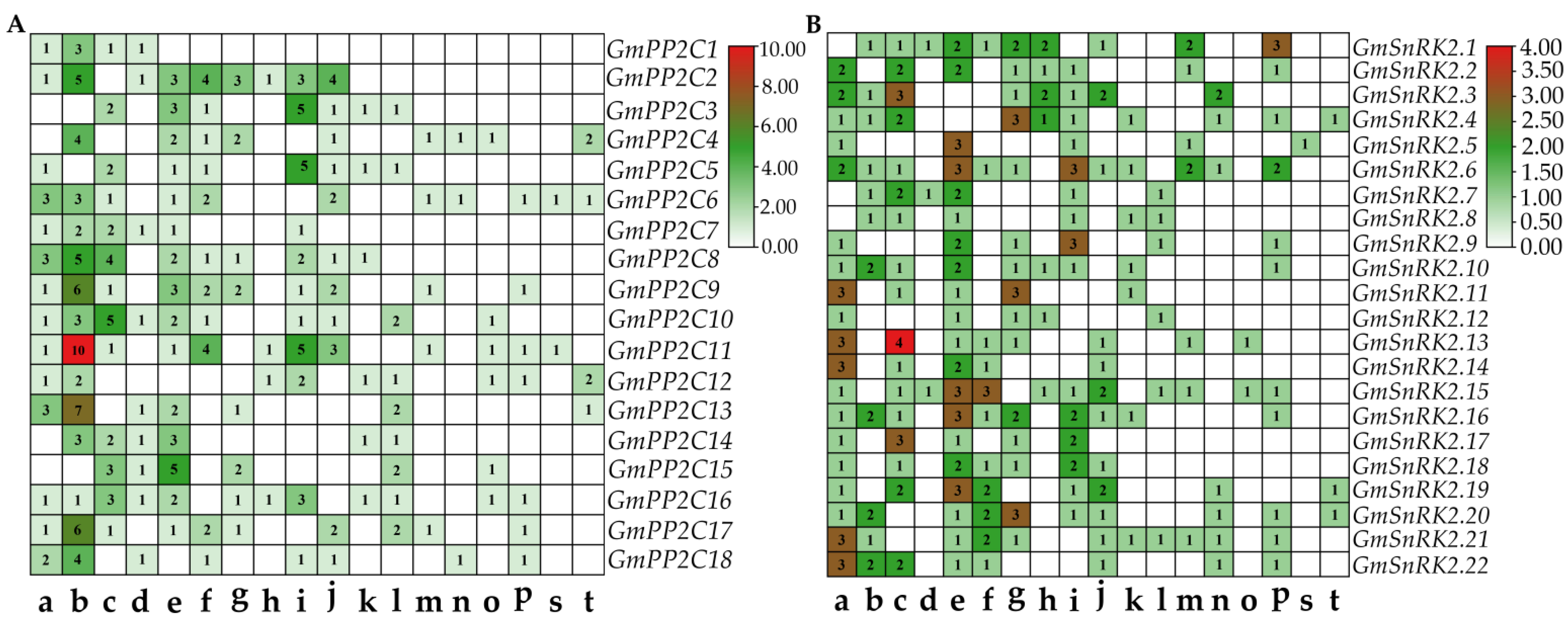 Ijms 23 13166 g004 Ijms 23 13166 g004