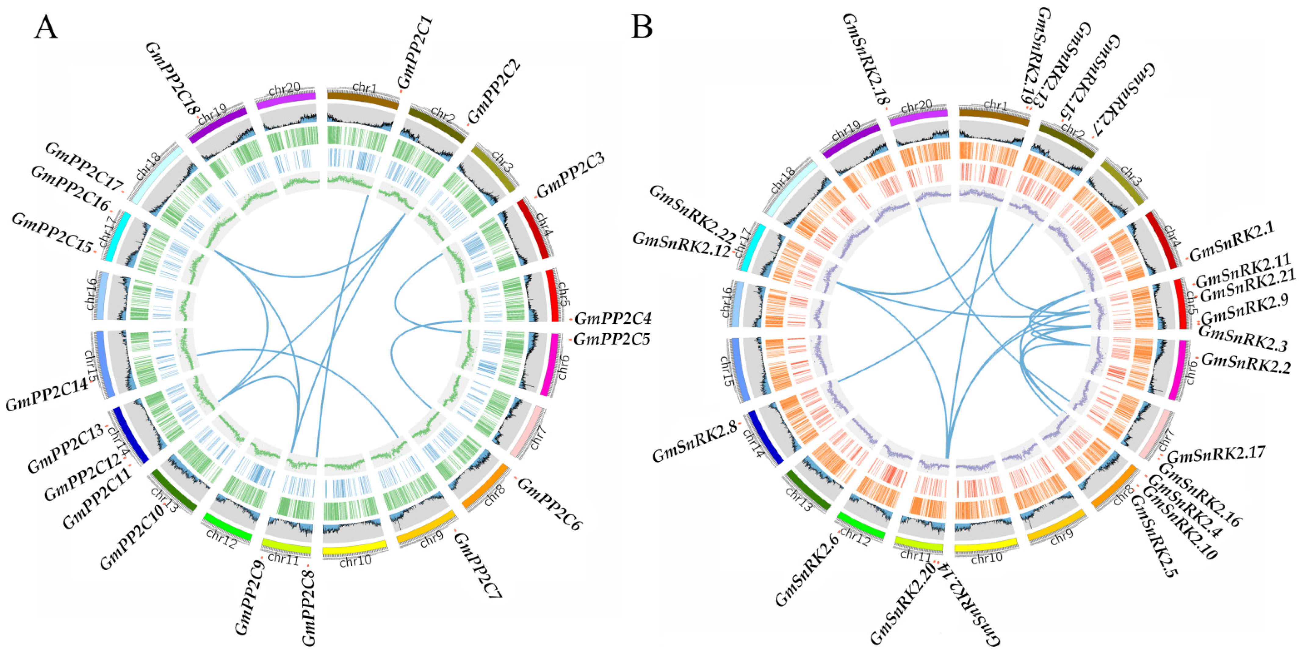 Ijms 23 13166 g005 Ijms 23 13166 g005