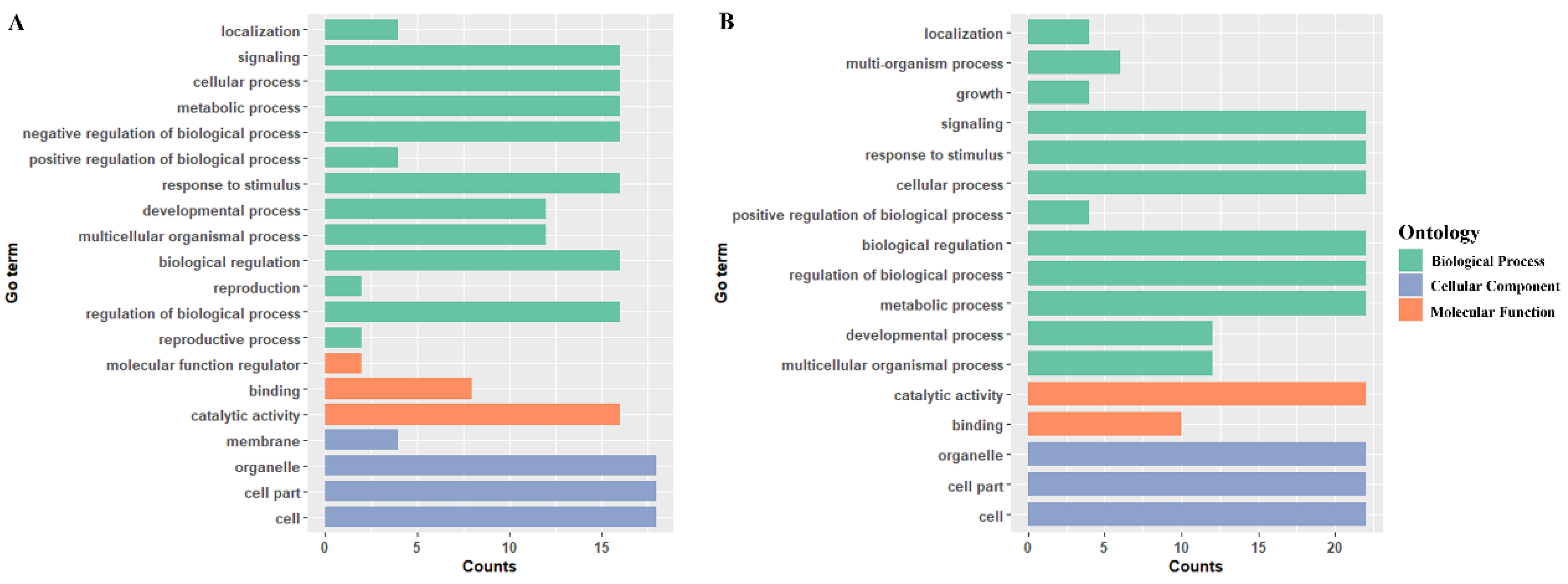 Ijms 23 13166 g006 Ijms 23 13166 g006