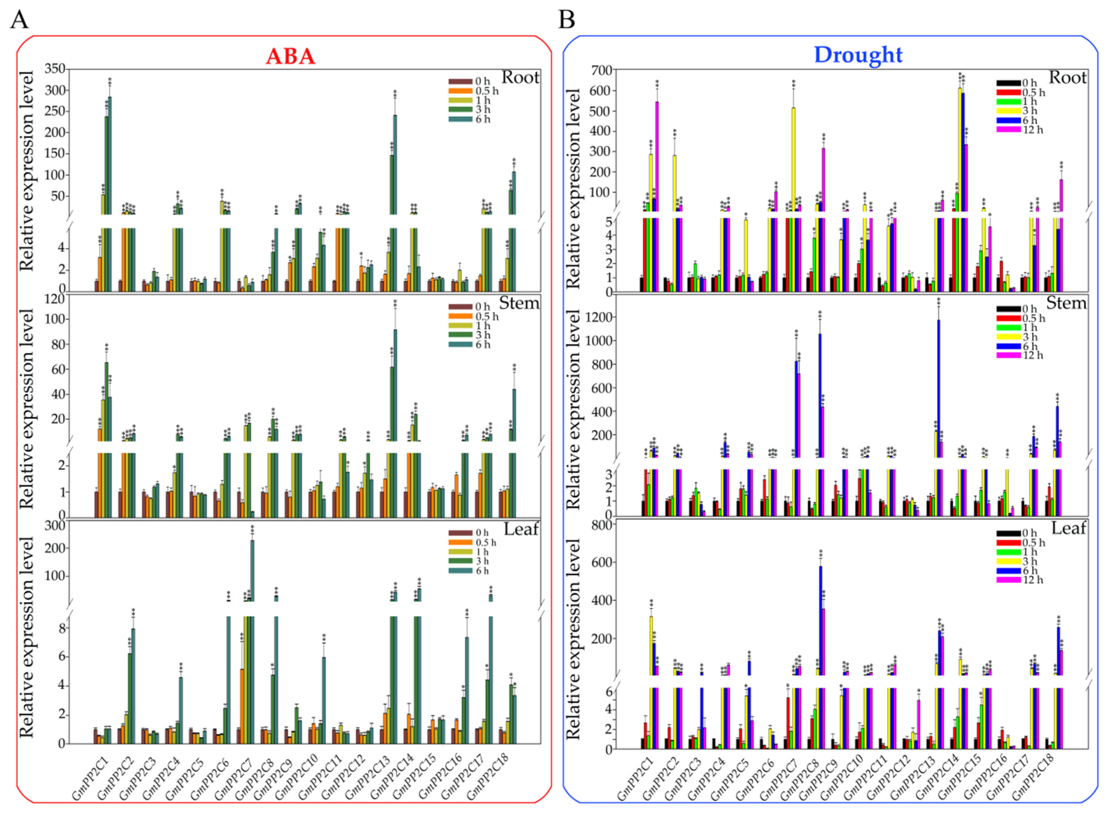 Ijms 23 13166 g008 Ijms 23 13166 g008