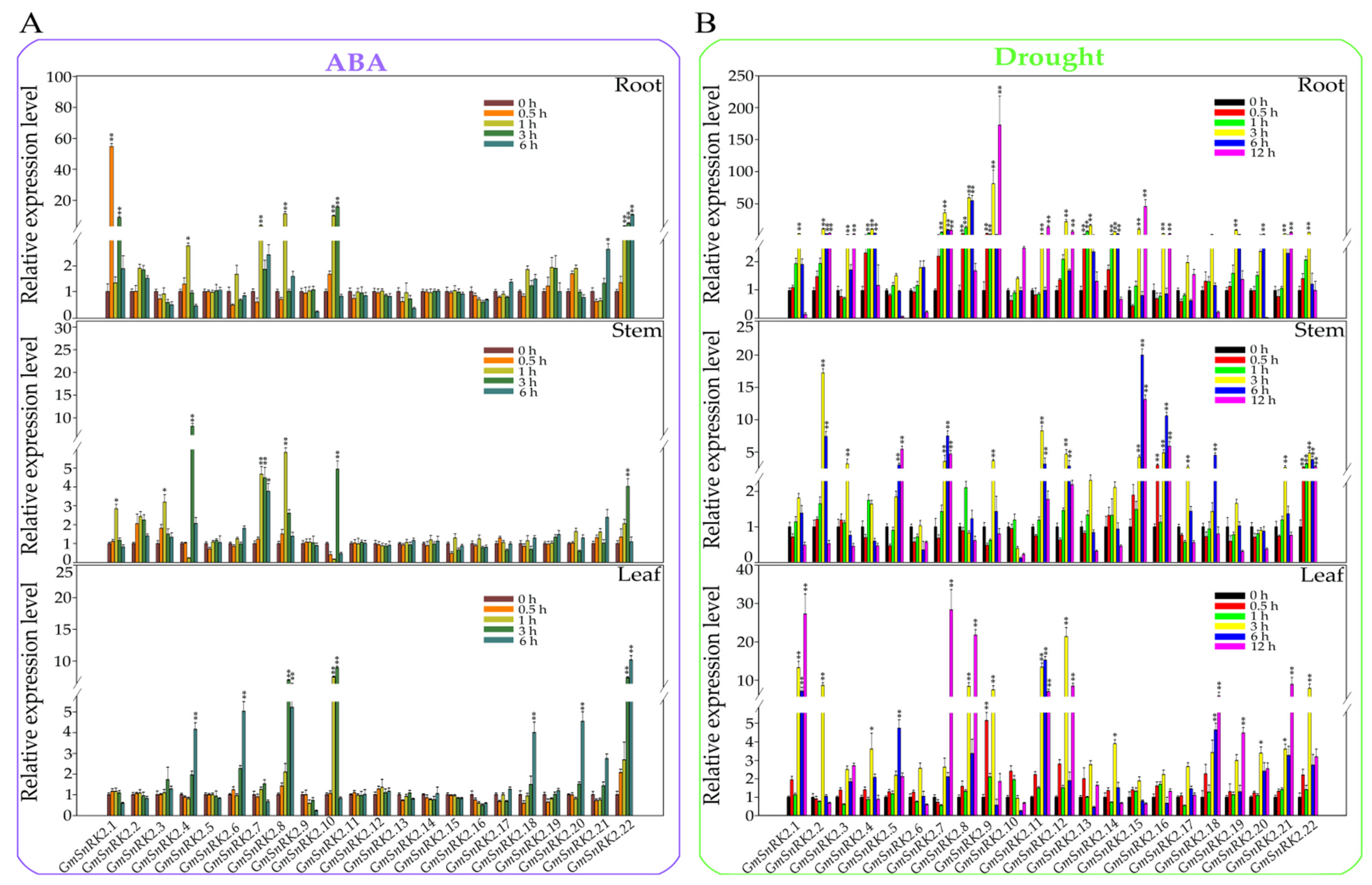 Ijms 23 13166 g009 Ijms 23 13166 g009
