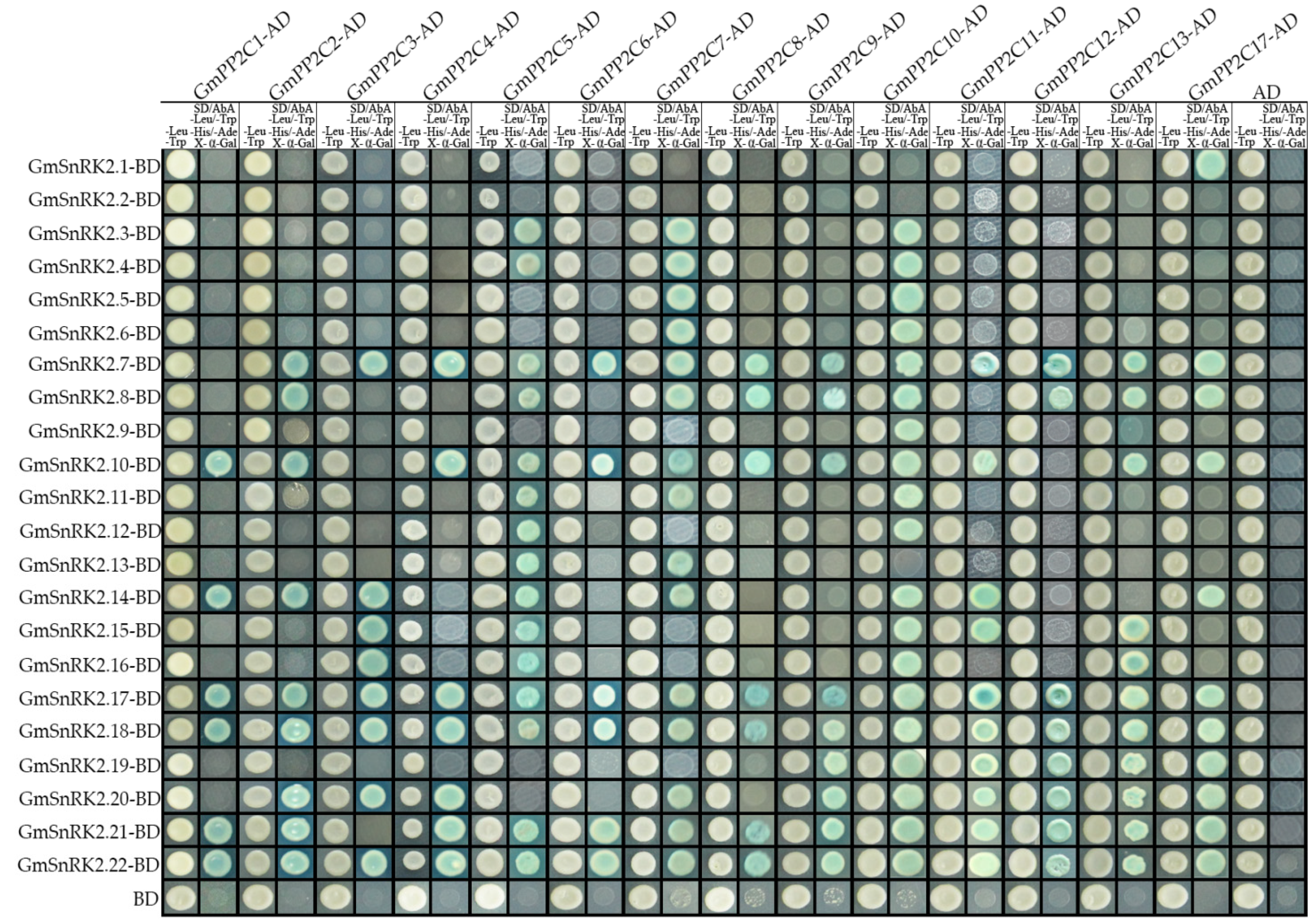 Ijms 23 13166 g010 Ijms 23 13166 g010