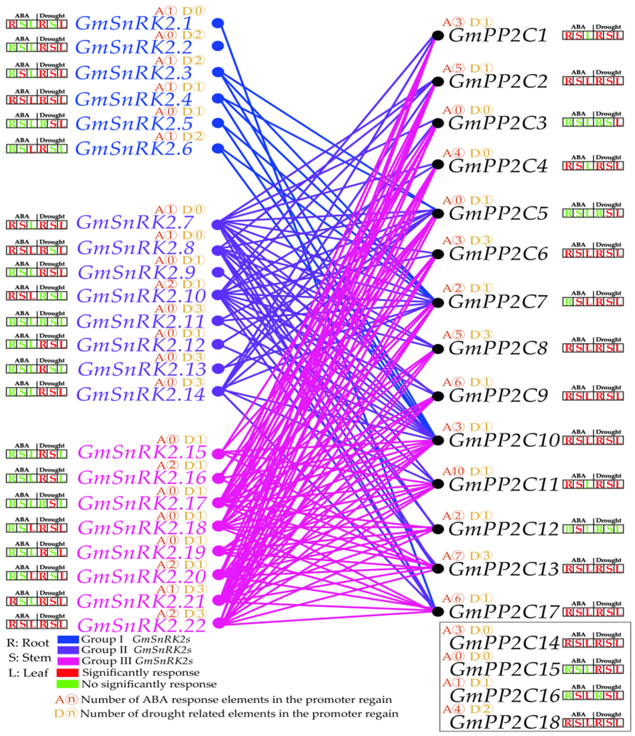 Ijms 23 13166 g011 Ijms 23 13166 g011