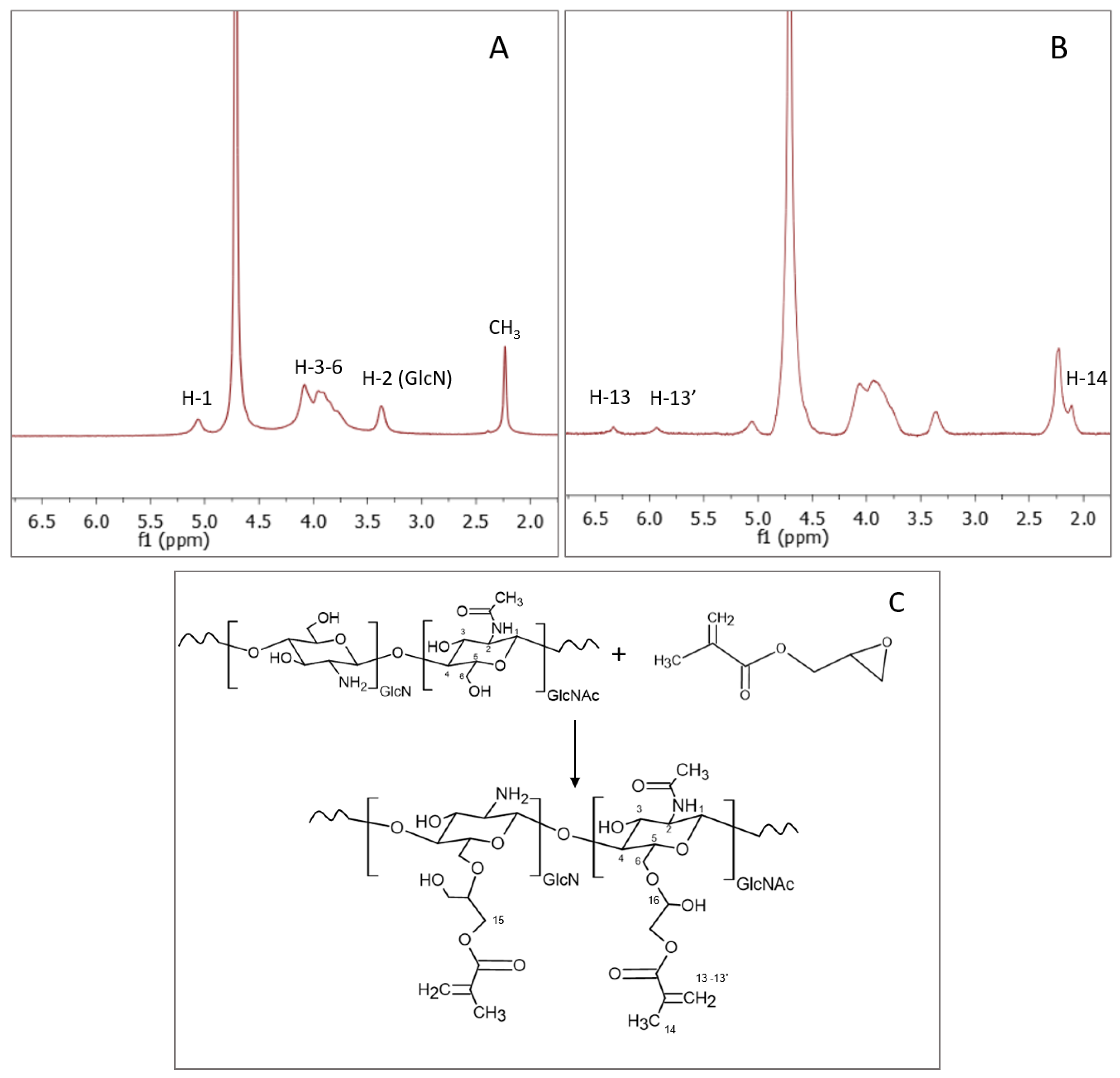 Ijms 23 13192 g001 Ijms 23 13192 g001