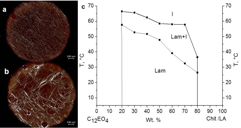 Ijms 23 13207 g002 Ijms 23 13207 g002