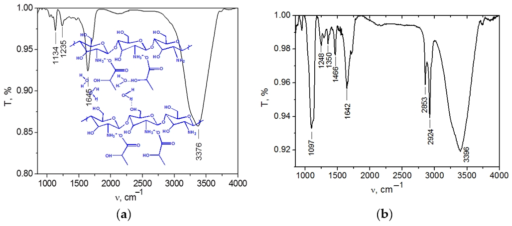 Ijms 23 13207 g003 Ijms 23 13207 g003