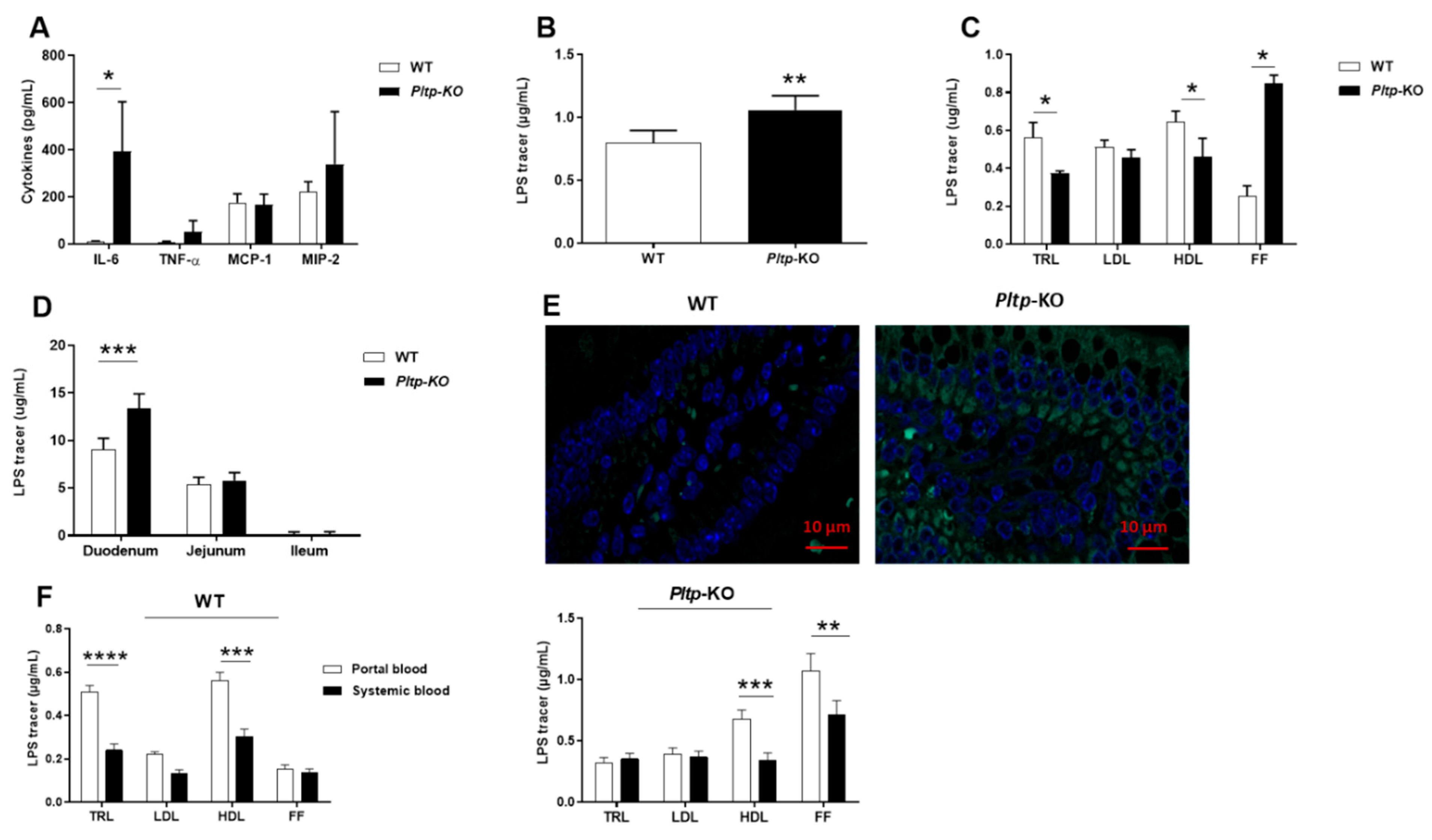Ijms 23 13226 g006 Ijms 23 13226 g006