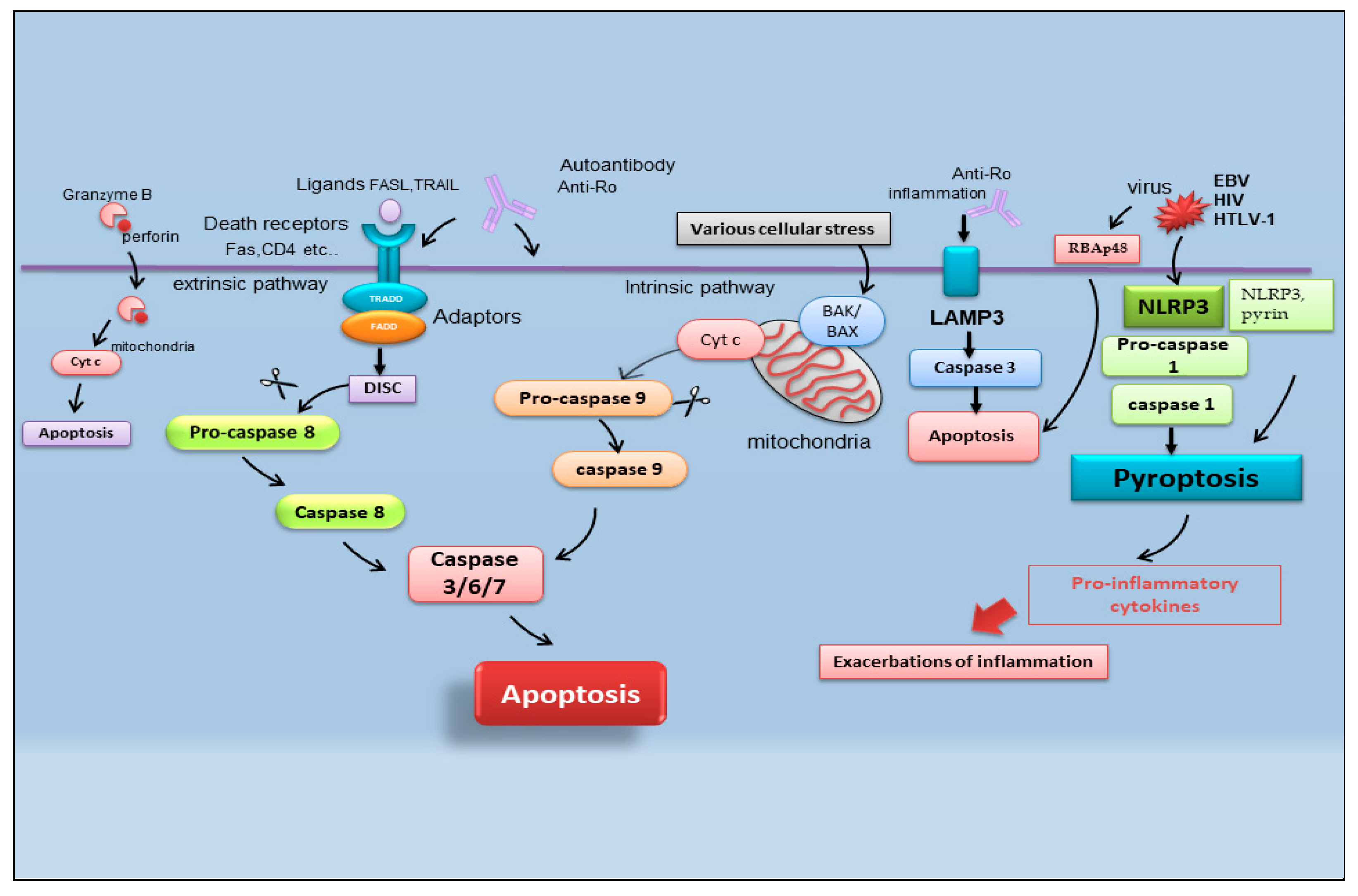 Ijms 23 13229 g002 Ijms 23 13229 g002