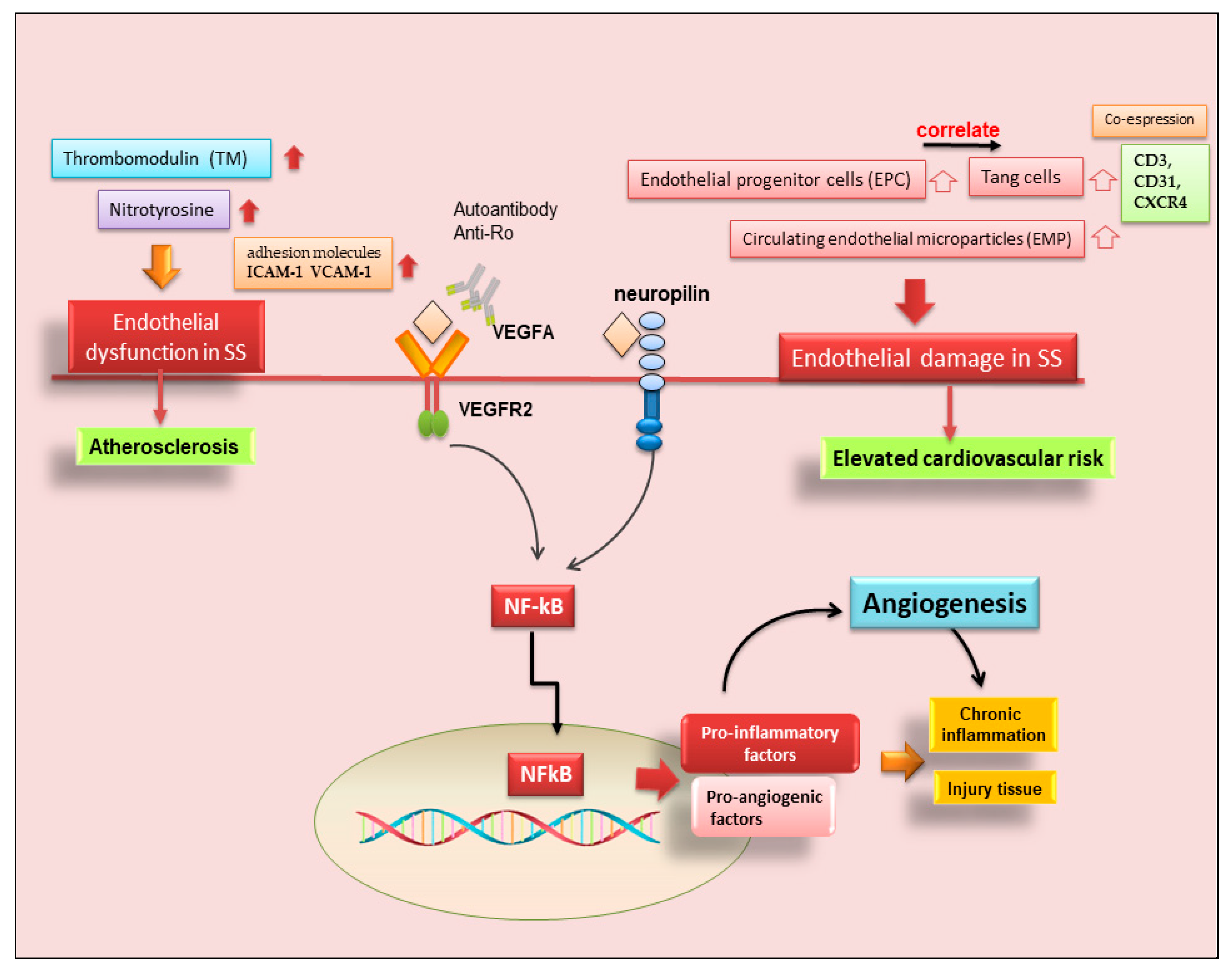 Ijms 23 13229 g003 Ijms 23 13229 g003